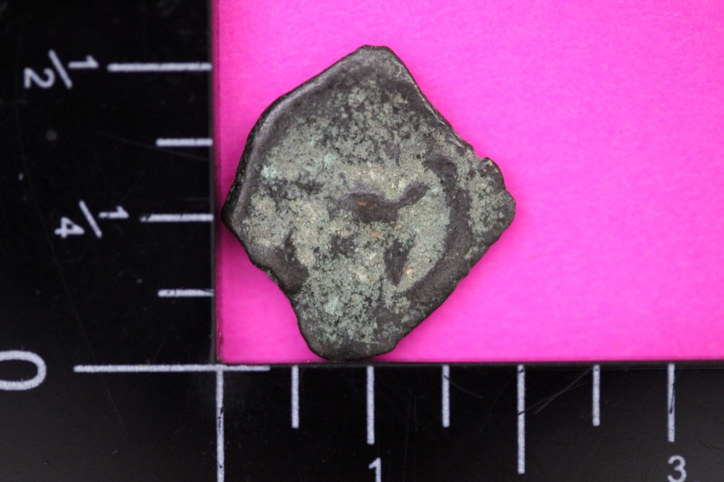 Widows Mite Coin Holy Land Artifact Frameable Display Card Jesus Christ COA C541