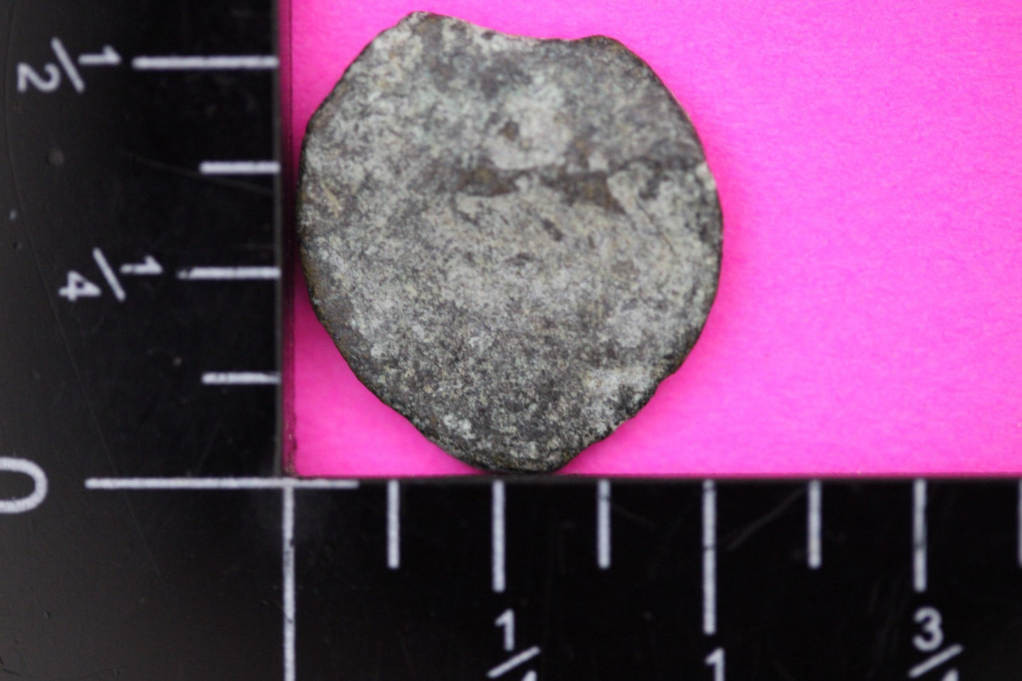 Widows Mite Coin Holy Land Artifact Frameable Display Card Jesus Christ COA B532