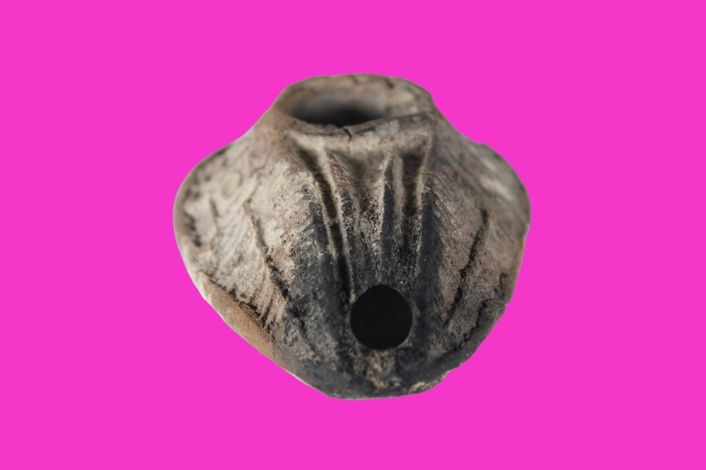 Holy Land Oil Lamp Ancient Artifact Time of the Christians 313-636 AD COA 196