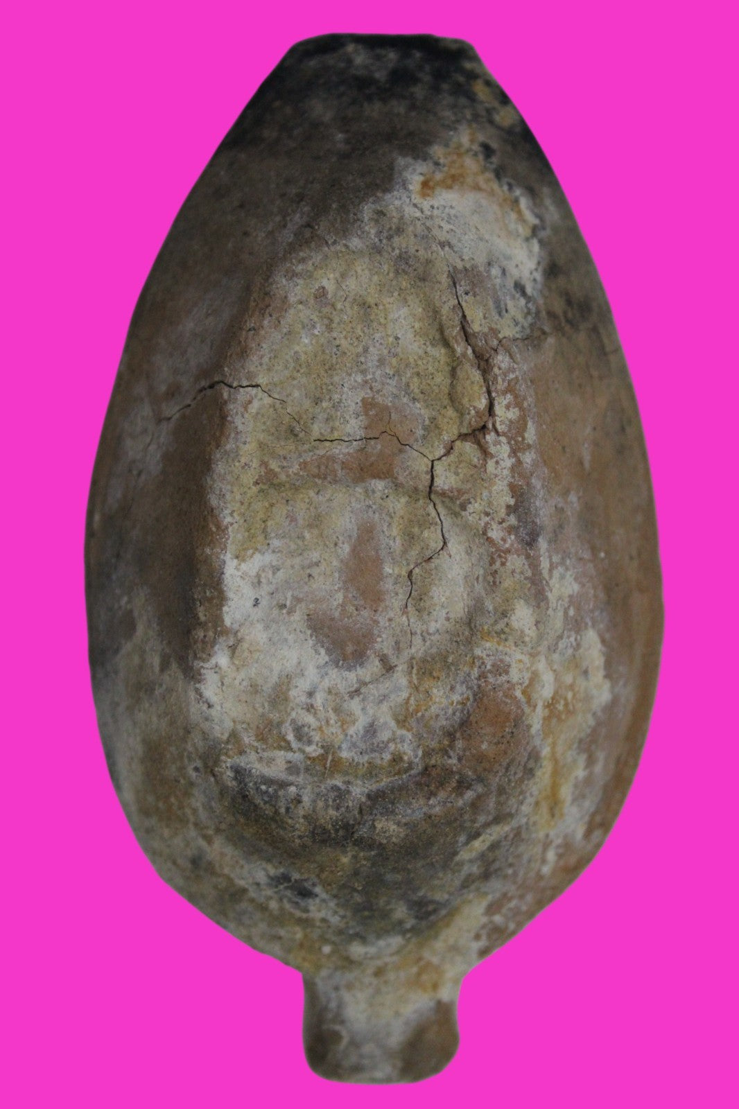 Holy Land Oil Lamp Ancient Artifact Time of the Christians 313-636 AD COA 189