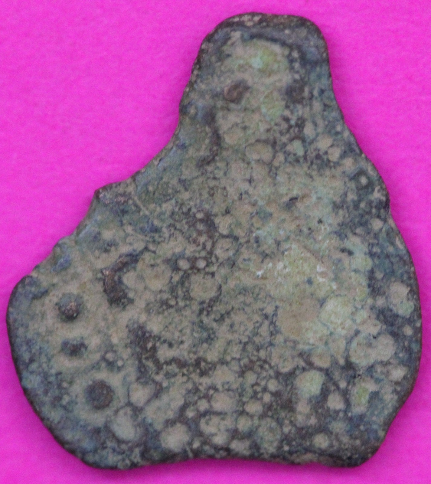 Widows Mite Coin Holy Land Artifact Frameable Display Card Jesus Christ COA C551