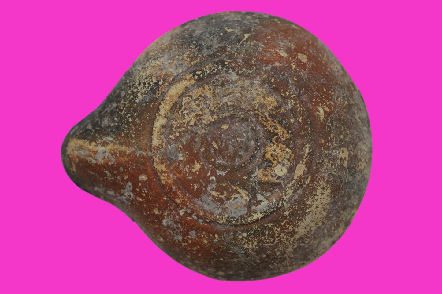 Holy Land Oil Lamp Ancient Artifact Time of Jesus & Apostles 313-636 AD COA 150
