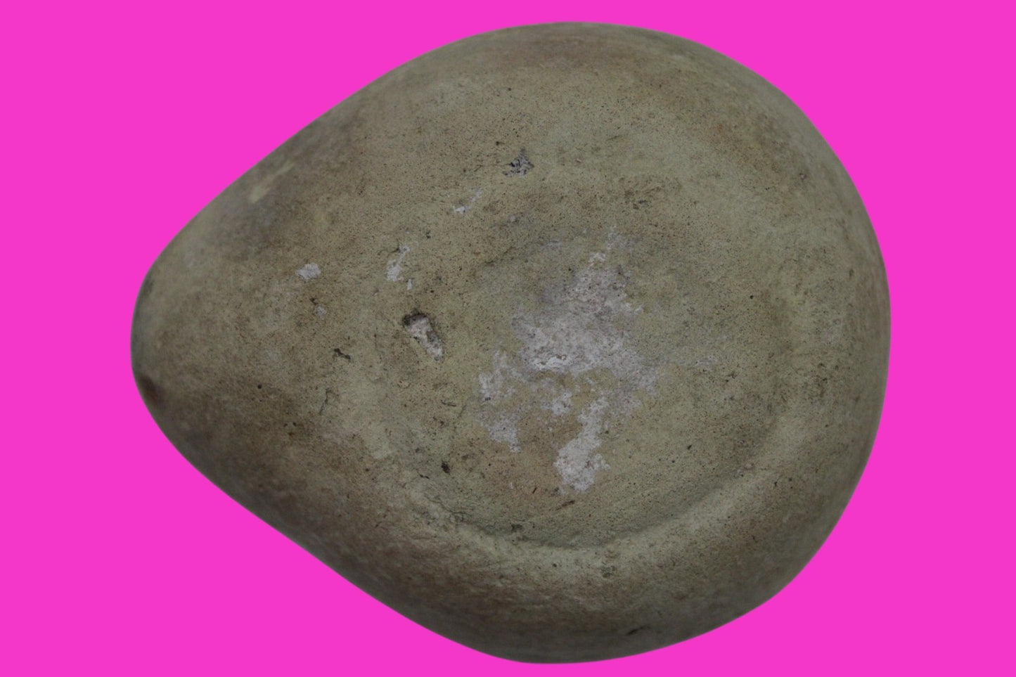 Holy Land Oil Lamp Ancient Artifact Time of Jesus & Apostles 63BC-323AD COA 142