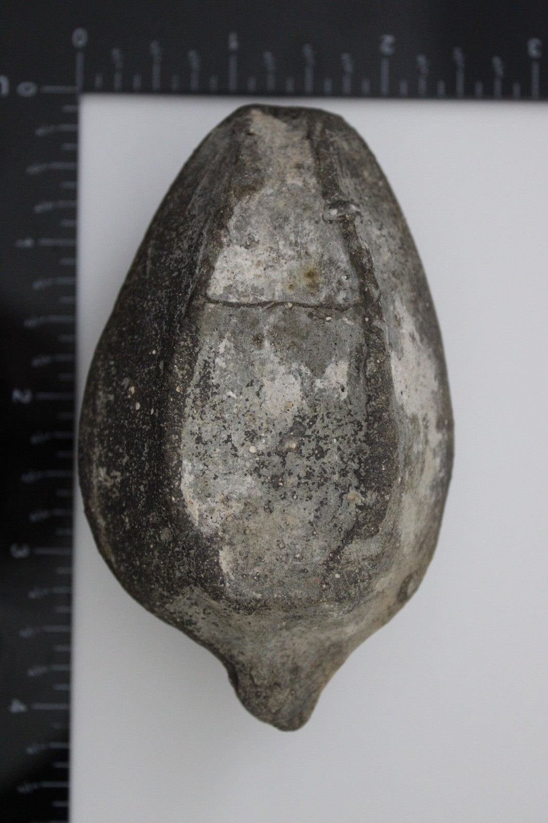 Holy Land Oil Lamp Ancient Artifact Time of the Christians 313-636 AD COA 198