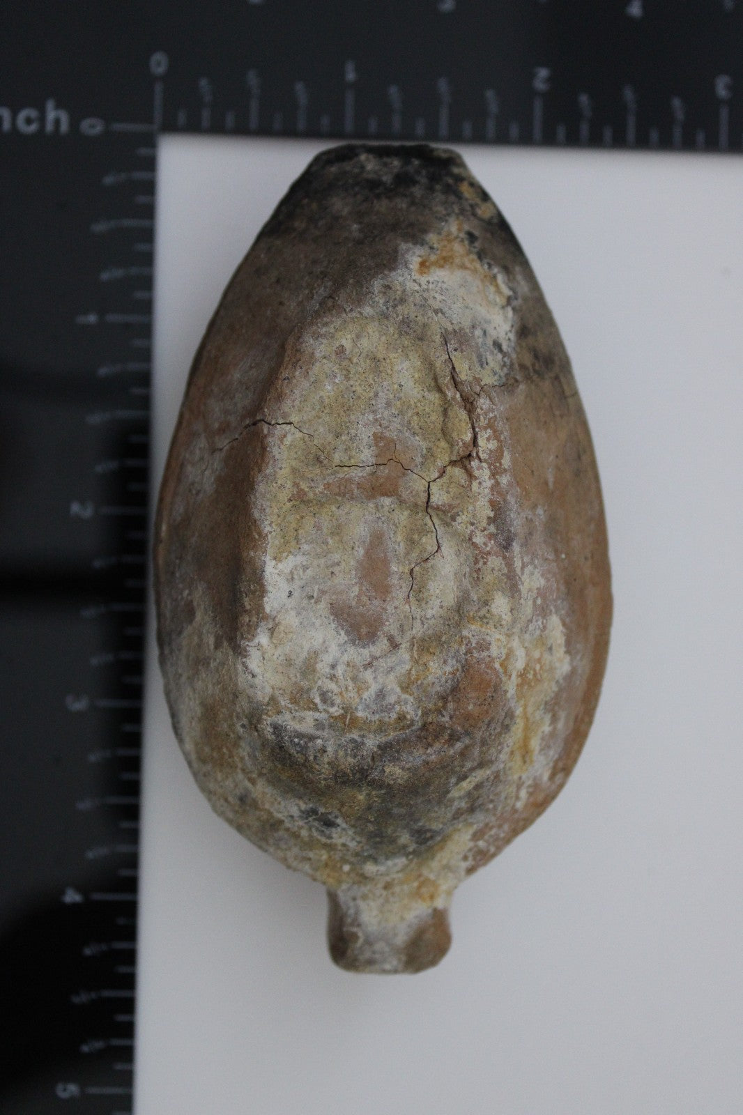 Holy Land Oil Lamp Ancient Artifact Time of the Christians 313-636 AD COA 189