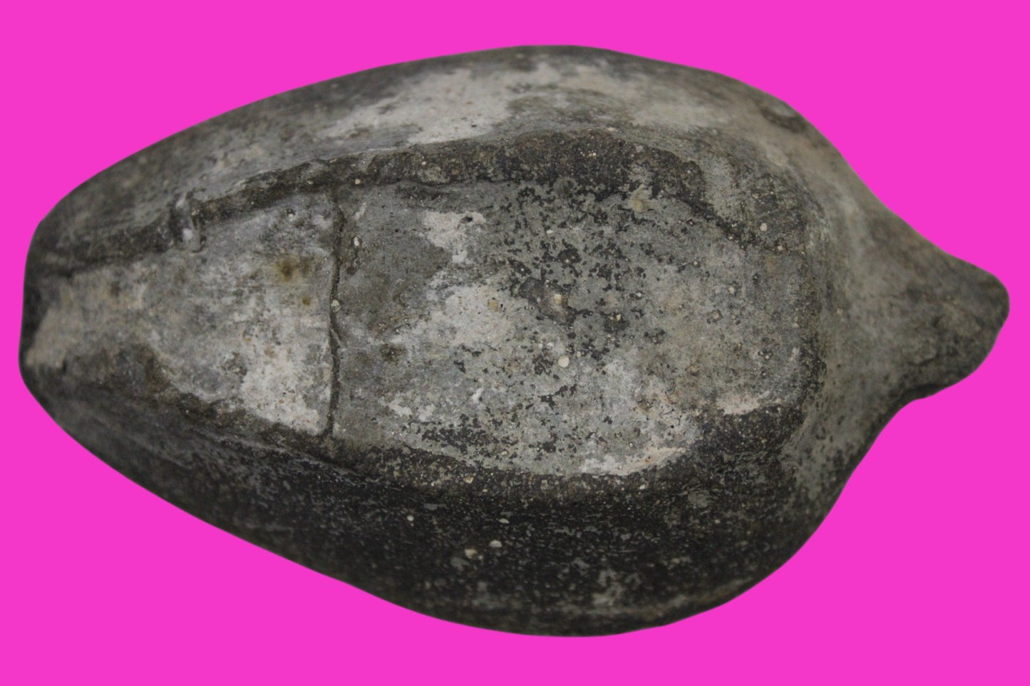 Holy Land Oil Lamp Ancient Artifact Time of the Christians 313-636 AD COA 198