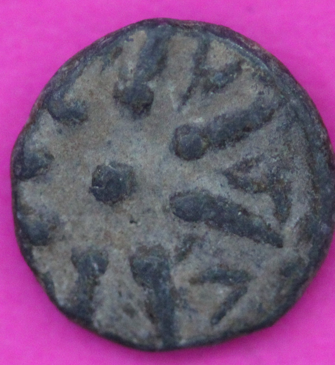 Hi Quality Widows Mite Coin Holy Land Artifact Free Display Card Jesus Time B724