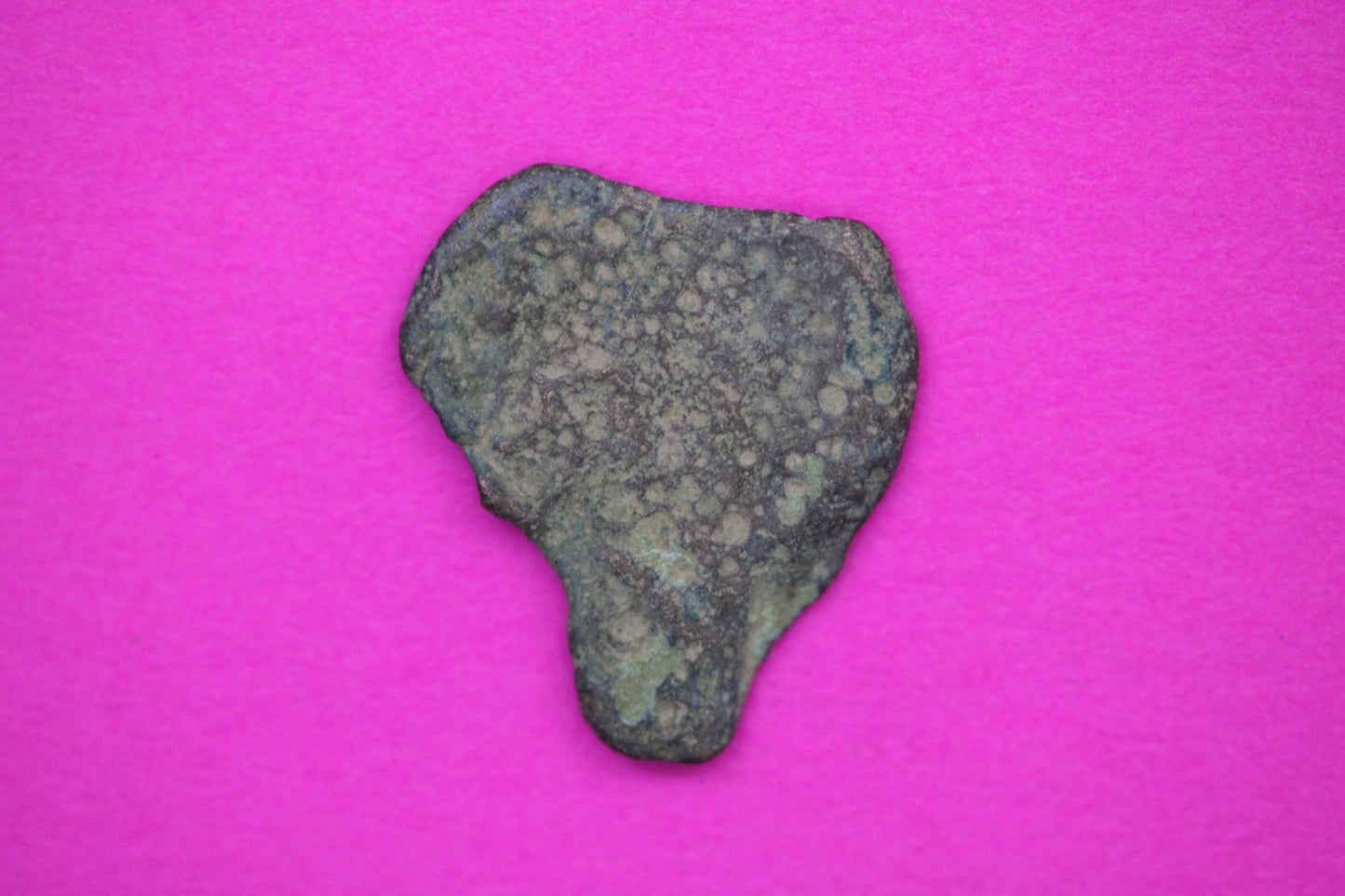 Widows Mite Coin Holy Land Artifact Frameable Display Card Jesus Christ COA C551