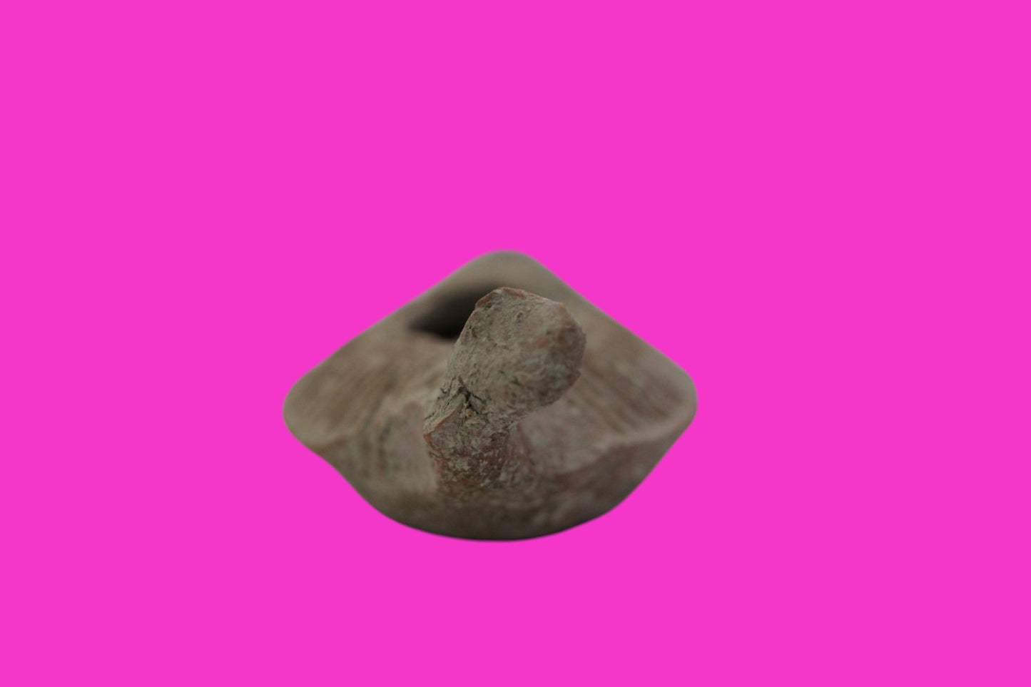 Oil Lamp Holy Land Ancient Artifact Jesus Christ Home Israel 100-400 AD COA J108