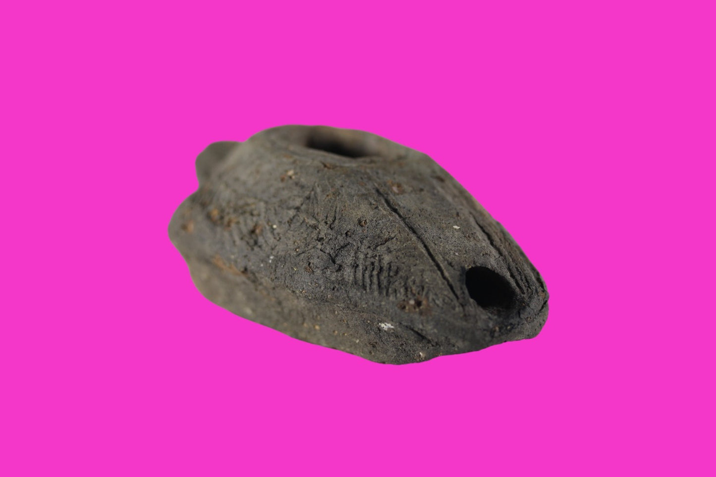 Holy Land Oil Lamp Ancient Artifact Time of the Christians 313-636 AD COA 59
