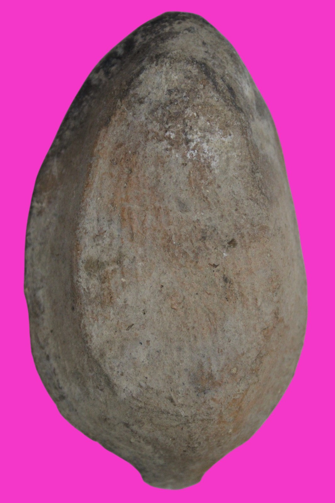 Holy Land Oil Lamp Ancient Artifact Time of the Christians 313-636 AD COA 188