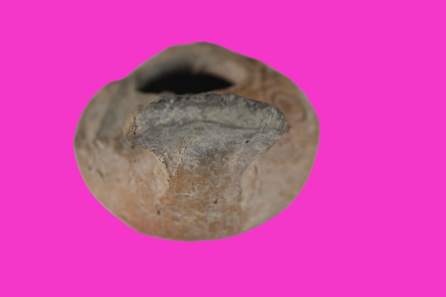 Holy Land Oil Lamp Ancient Artifact Time of the Christians 313-636 AD COA 174