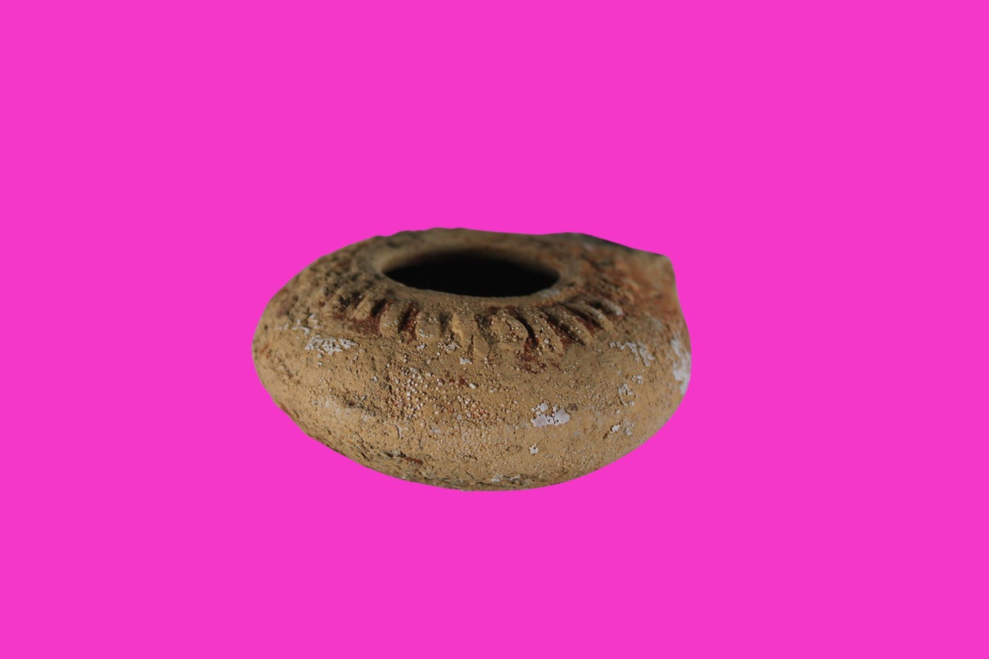 Ancient Holy Land Oil Lamp Artifact Jesus Christ Homeland 100BC-400AD COA 24