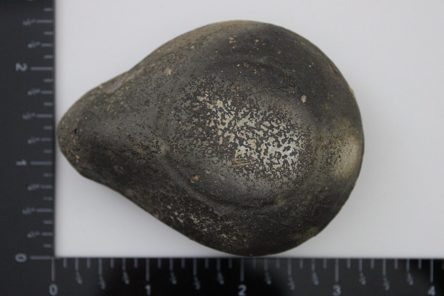 Holy Land Oil Lamp Ancient Artifact Time of Jesus & Apostles 63BC-323AD COA 149
