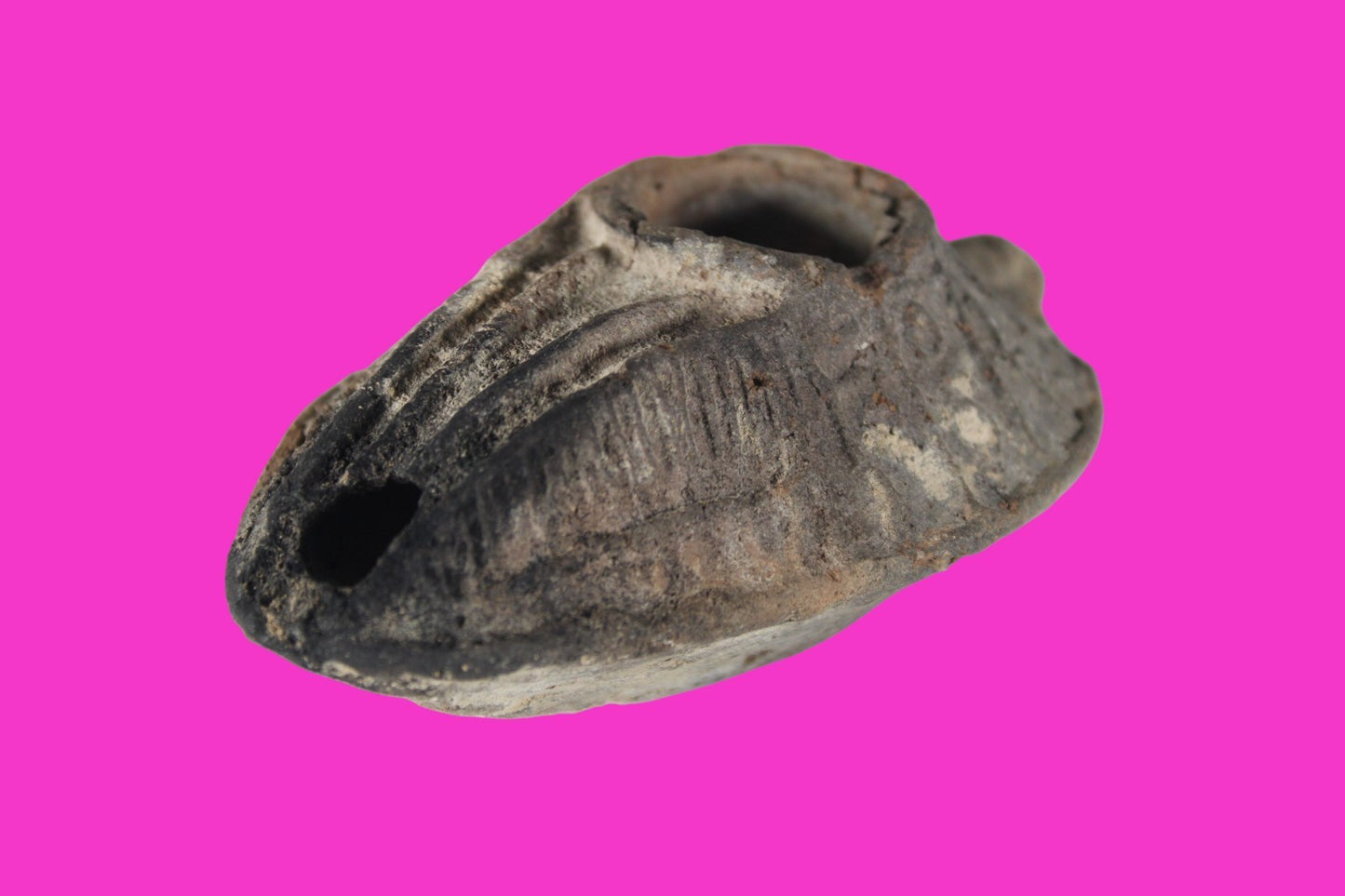 Holy Land Oil Lamp Ancient Artifact Time of the Christians 313-636 AD COA 196