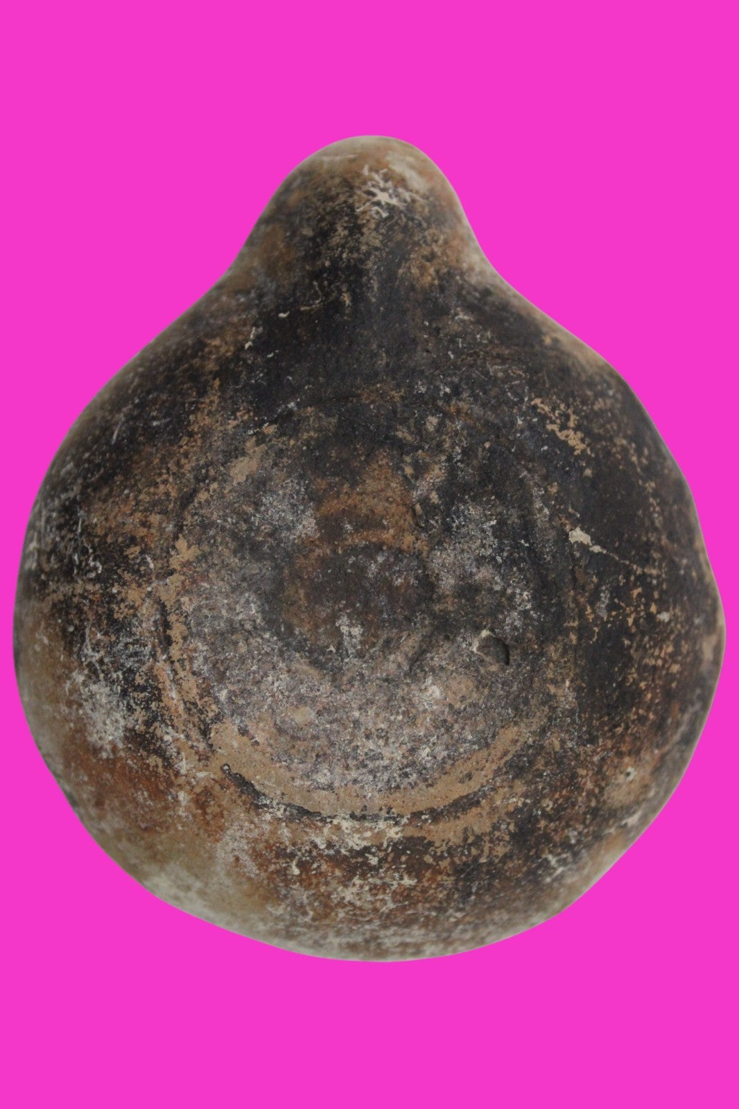 Holy Land Oil Lamp Ancient Artifact Time of Jesus & Apostles 63BC-323AD COA 160