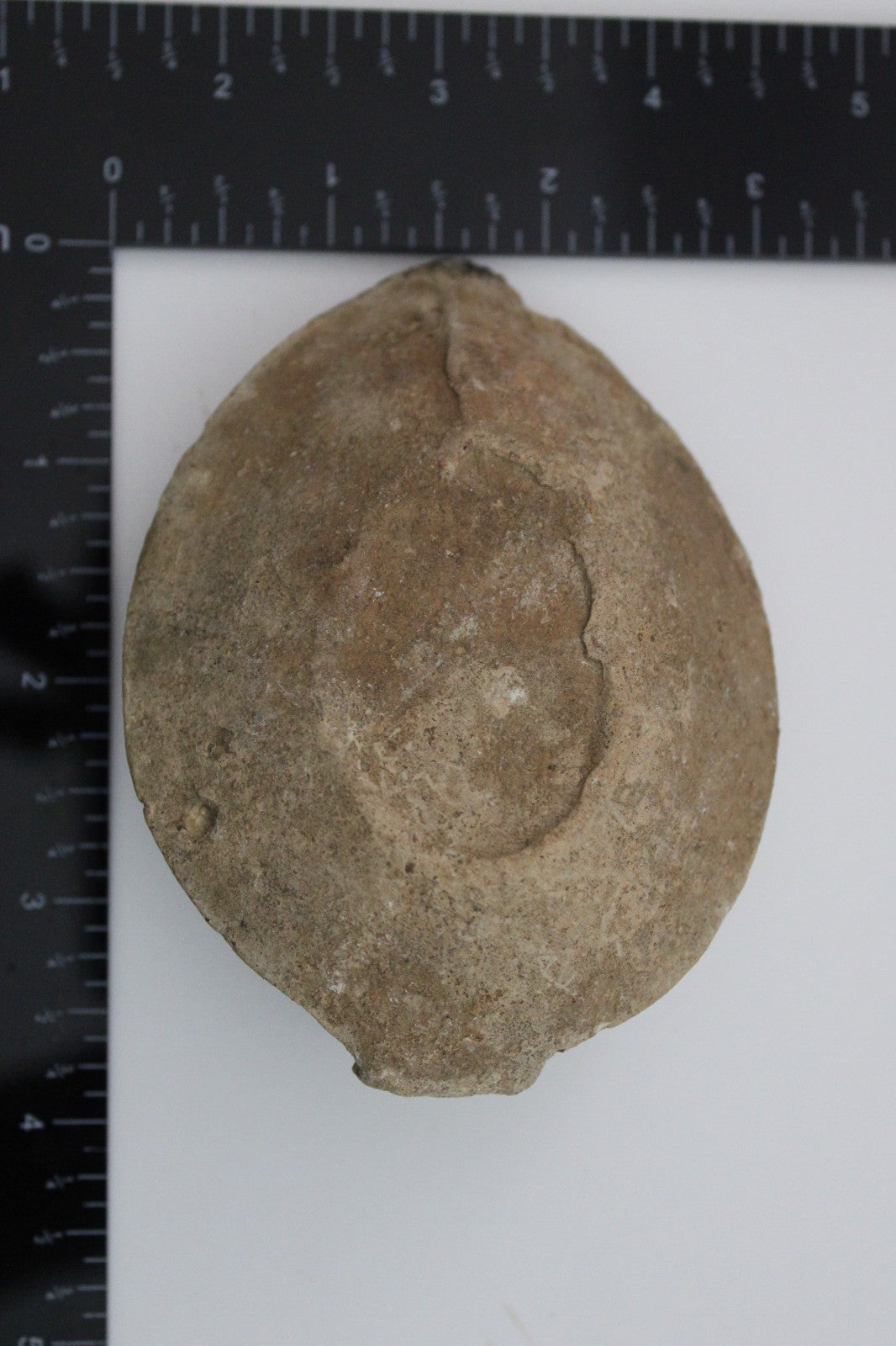 Holy Land Oil Lamp Ancient Artifact Time of the Christians 313-636 AD COA 221