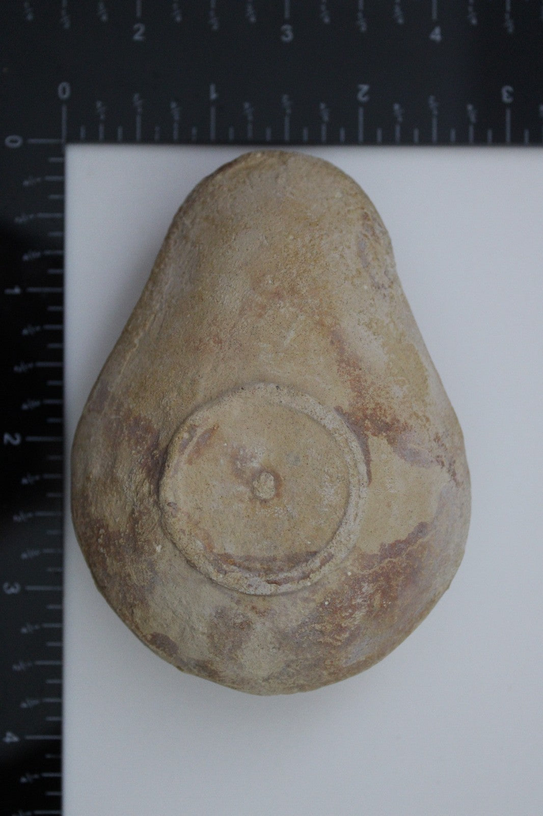 Holy Land Oil Lamp Ancient Artifact Time of the Christians 313-636 AD COA 172