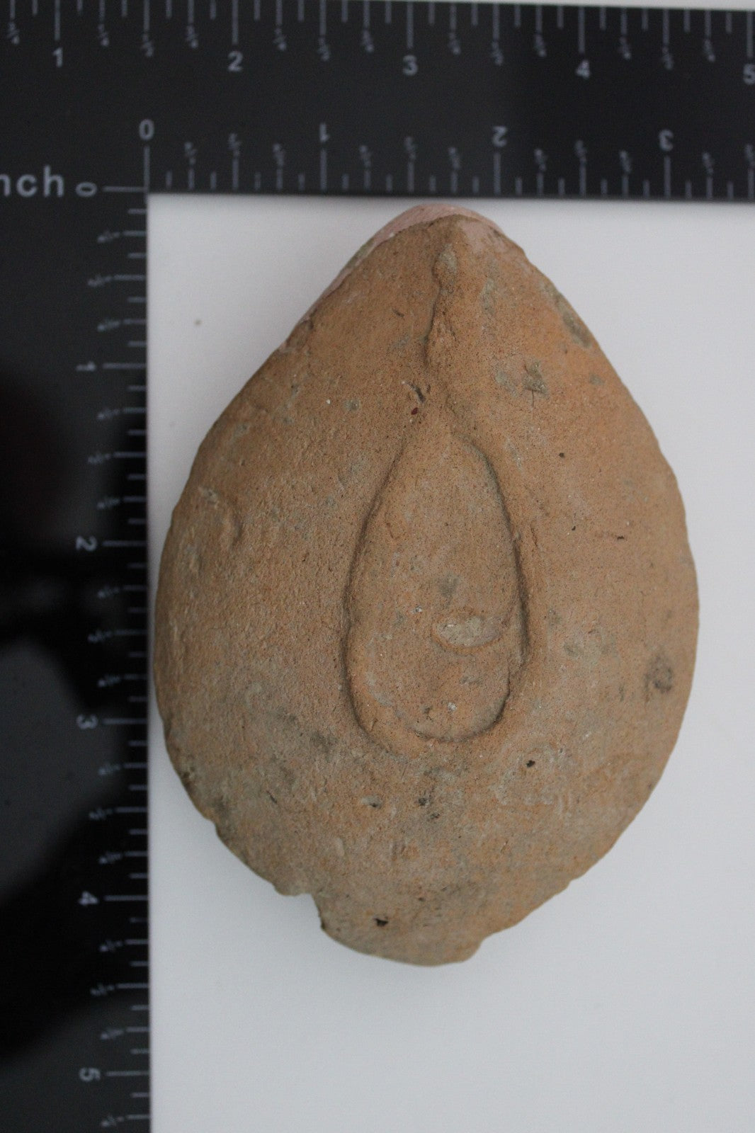 Holy Land Oil Lamp Ancient Artifact Time of the Christians 313-636 AD COA 208