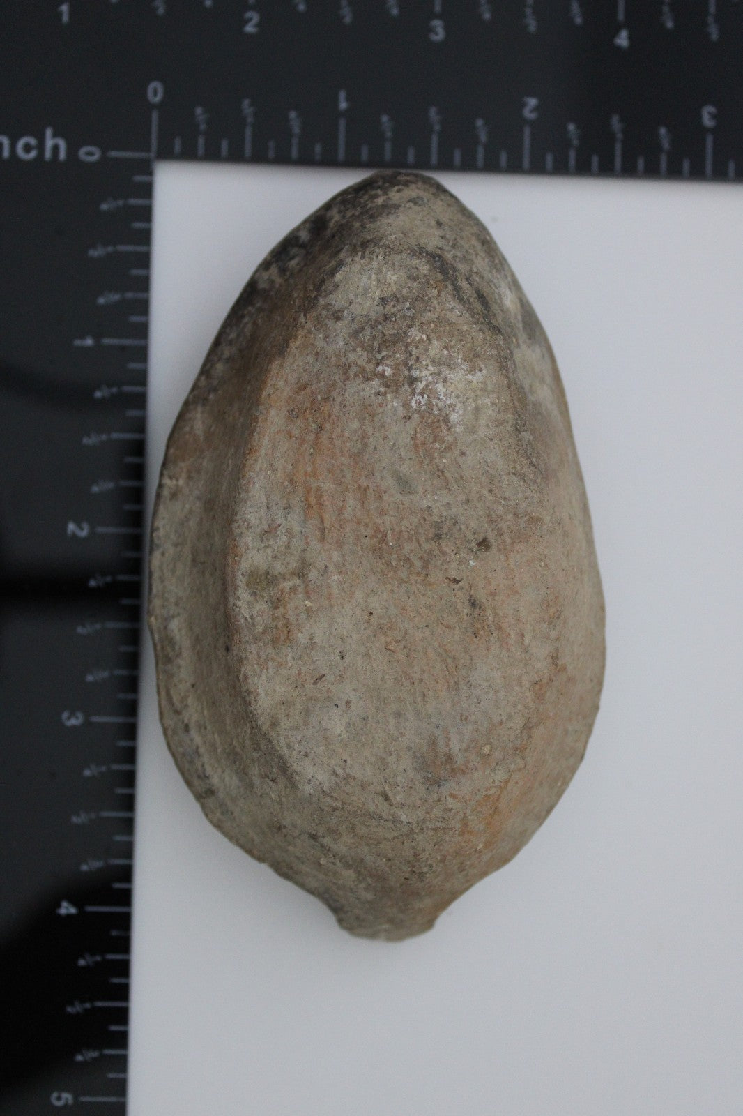 Holy Land Oil Lamp Ancient Artifact Time of the Christians 313-636 AD COA 188