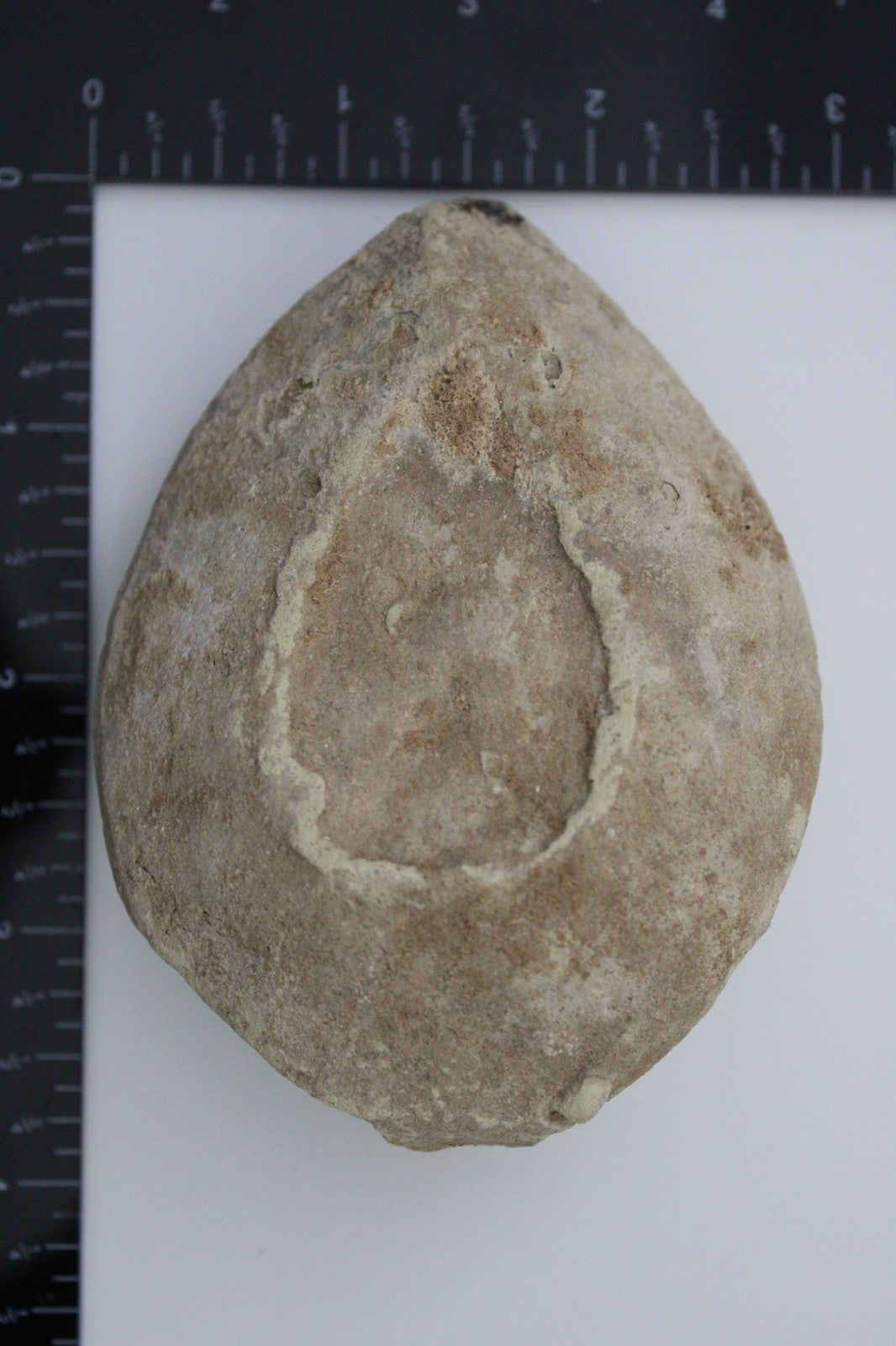 Holy Land Oil Lamp Ancient Artifact Time of the Christians 313-636 AD COA 197