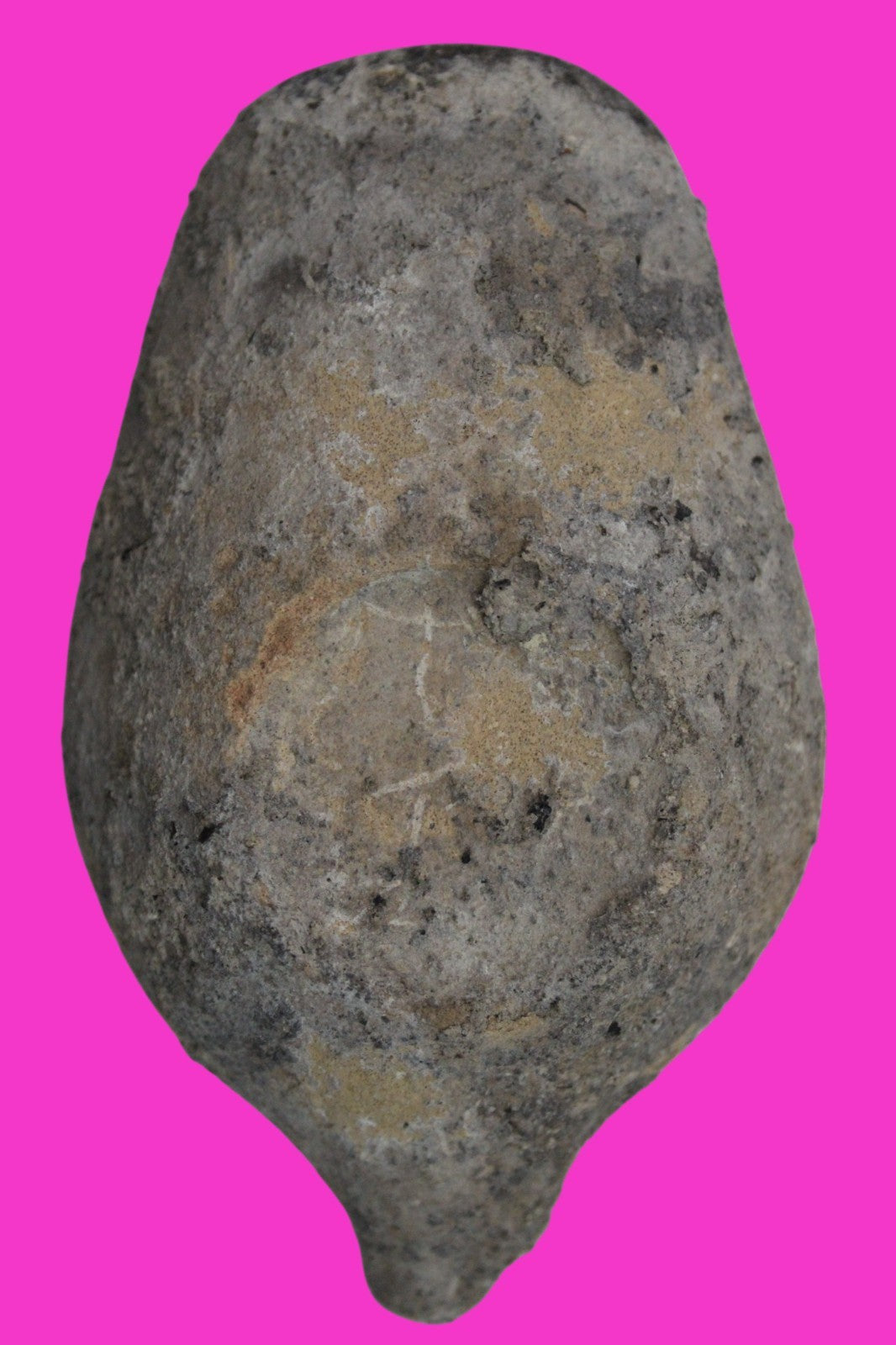Holy Land Oil Lamp Ancient Artifact Time of the Christians 313-636 AD COA 220