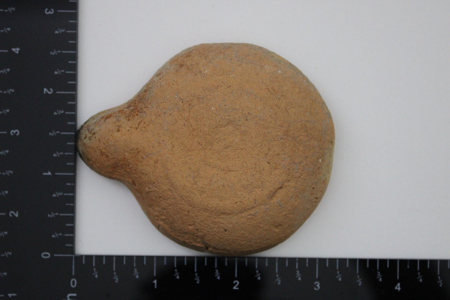 Holy Land Oil Lamp Ancient Artifact Time of Jesus & Apostles 63BC-323AD COA 135