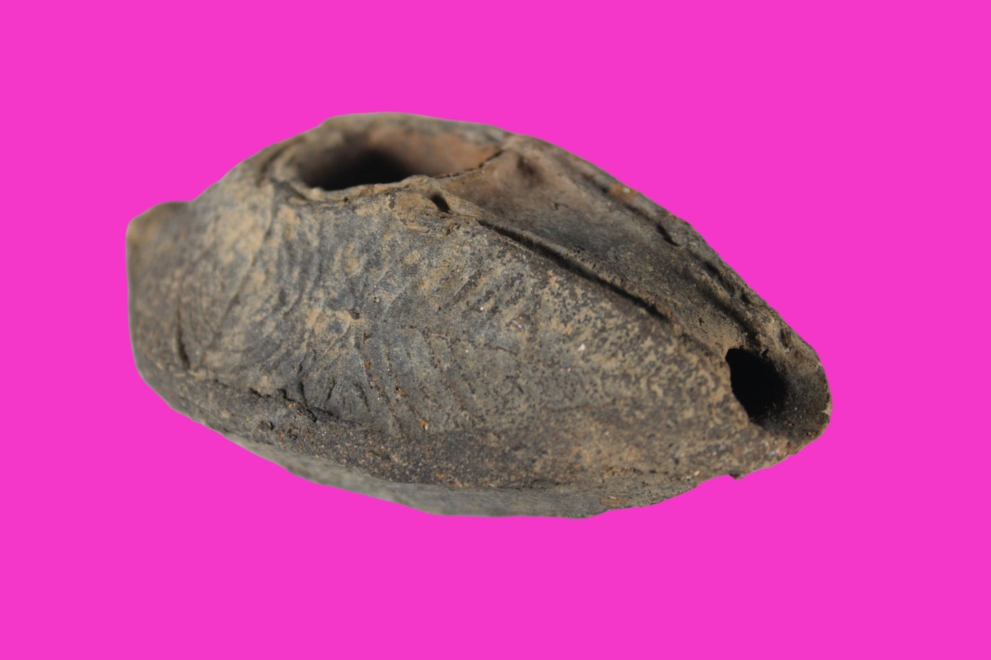 Holy Land Oil Lamp Ancient Artifact Time of the Christians 313-636 AD COA 182