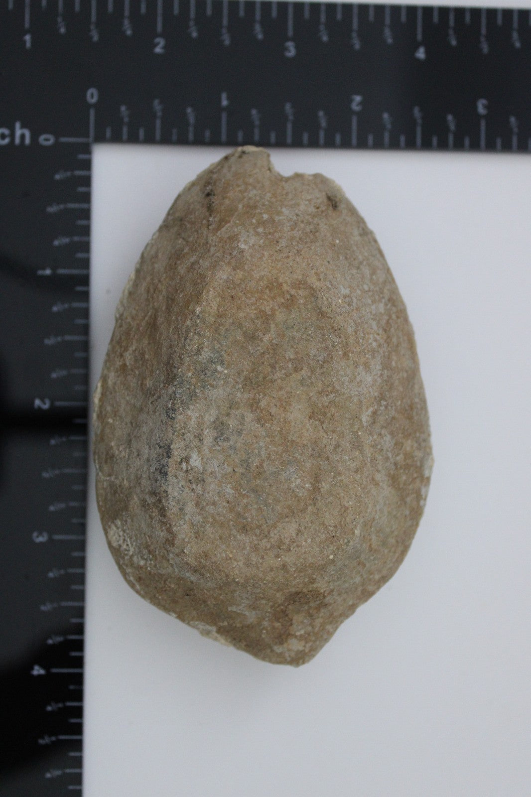 Holy Land Oil Lamp Ancient Artifact Time of the Christians 313-636 AD COA 192