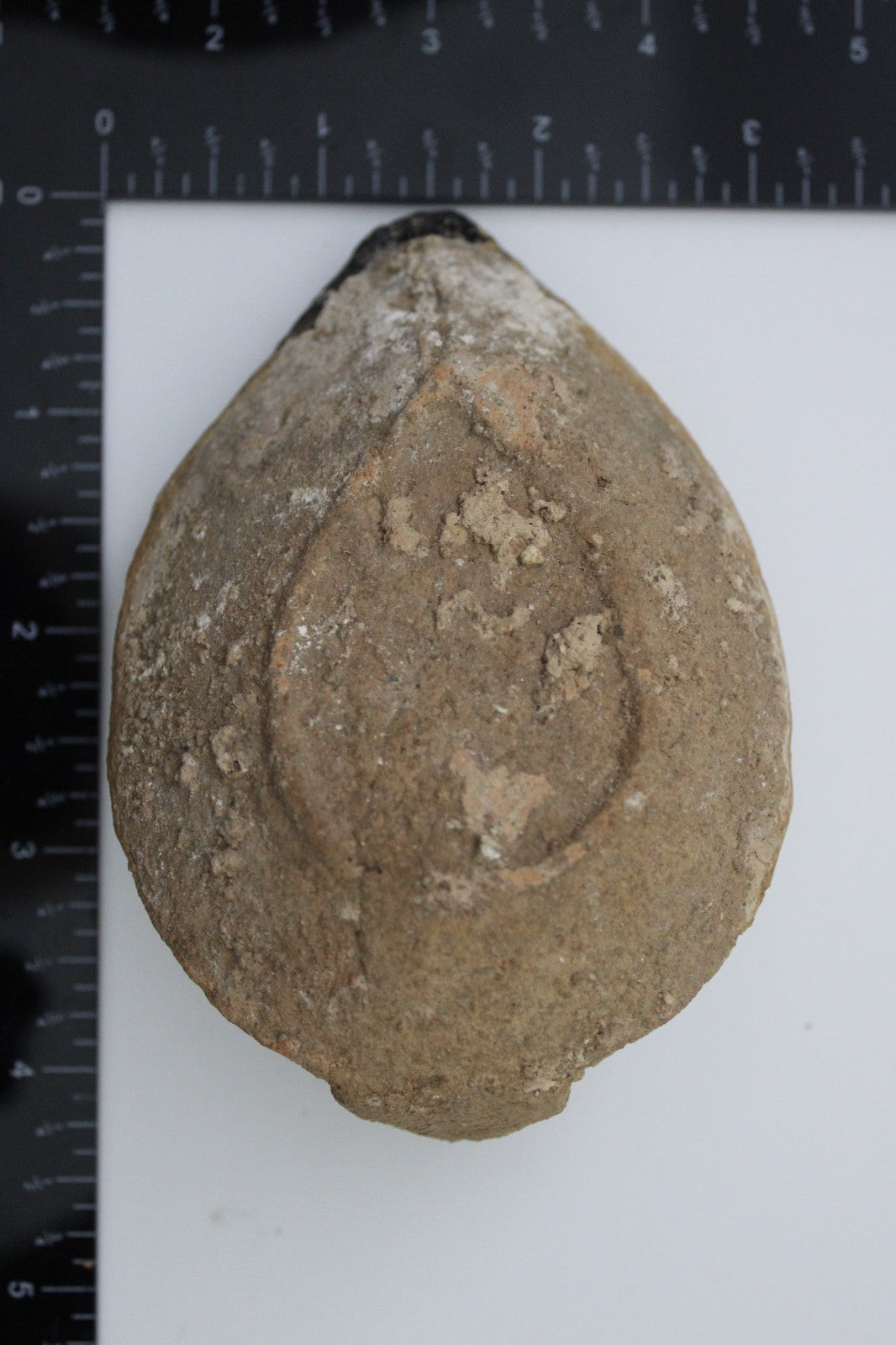Holy Land Oil Lamp Ancient Artifact Time of the Christians 313-636 AD COA 204
