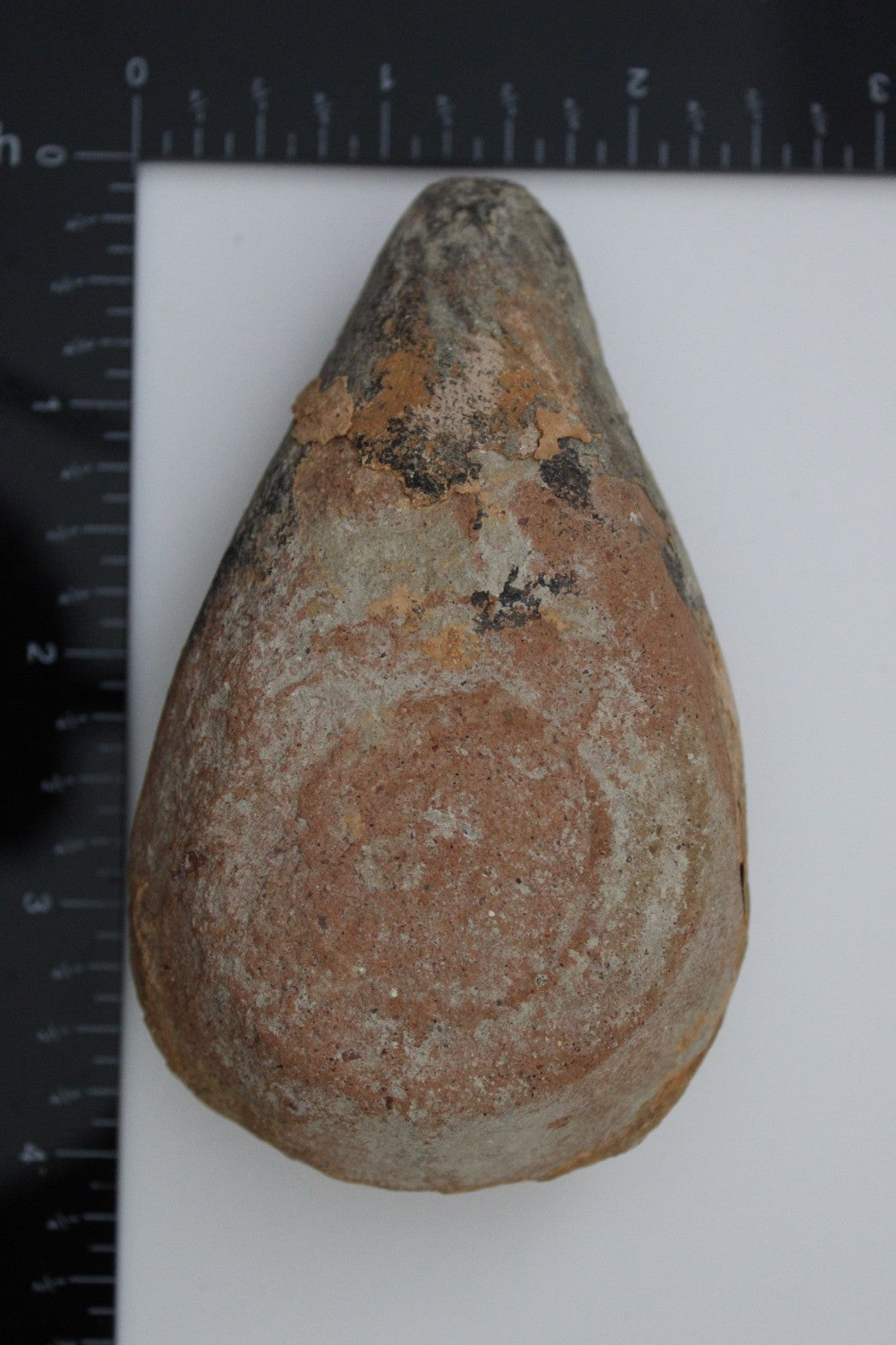 Holy Land Oil Lamp Ancient Artifact Time of the Christians 313-636 AD COA 180