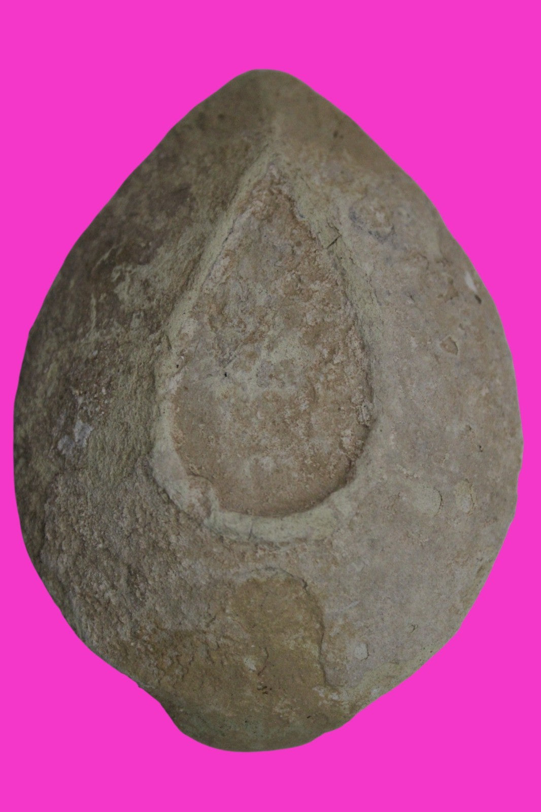 Holy Land Oil Lamp Ancient Artifact Time of the Christians 313-636 AD COA 219