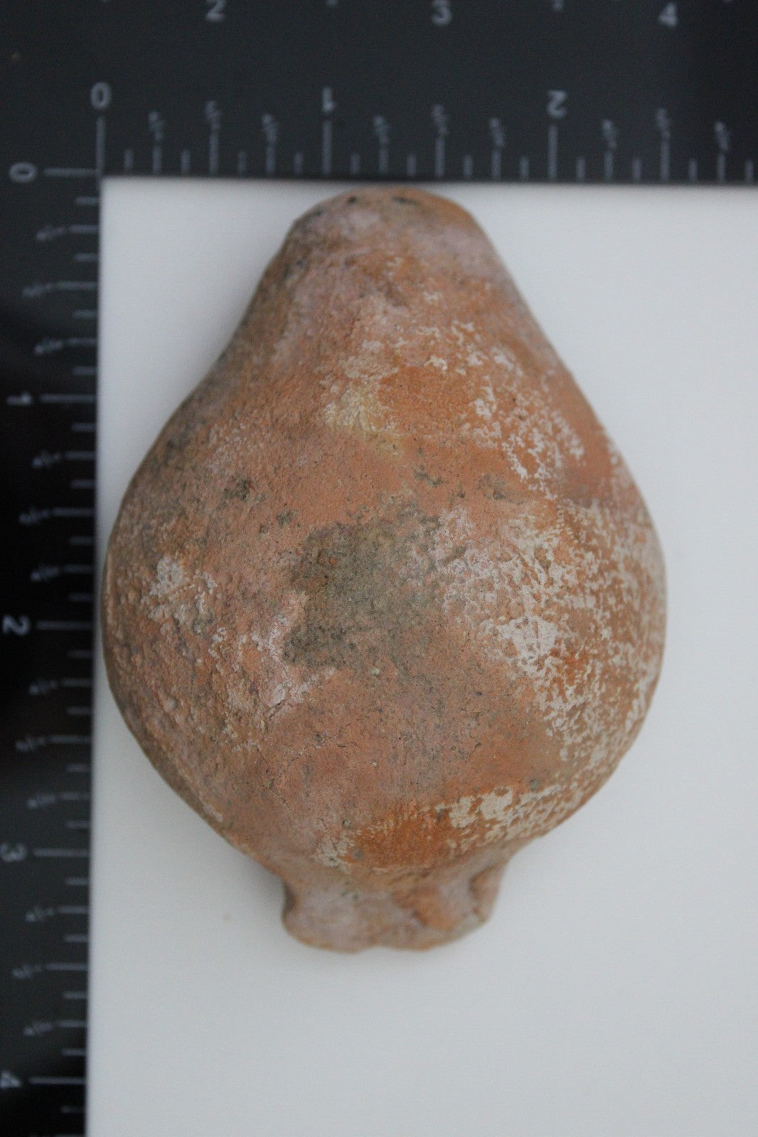 Holy Land Oil Lamp Ancient Artifact Time of the Christians 313-636 AD COA 185
