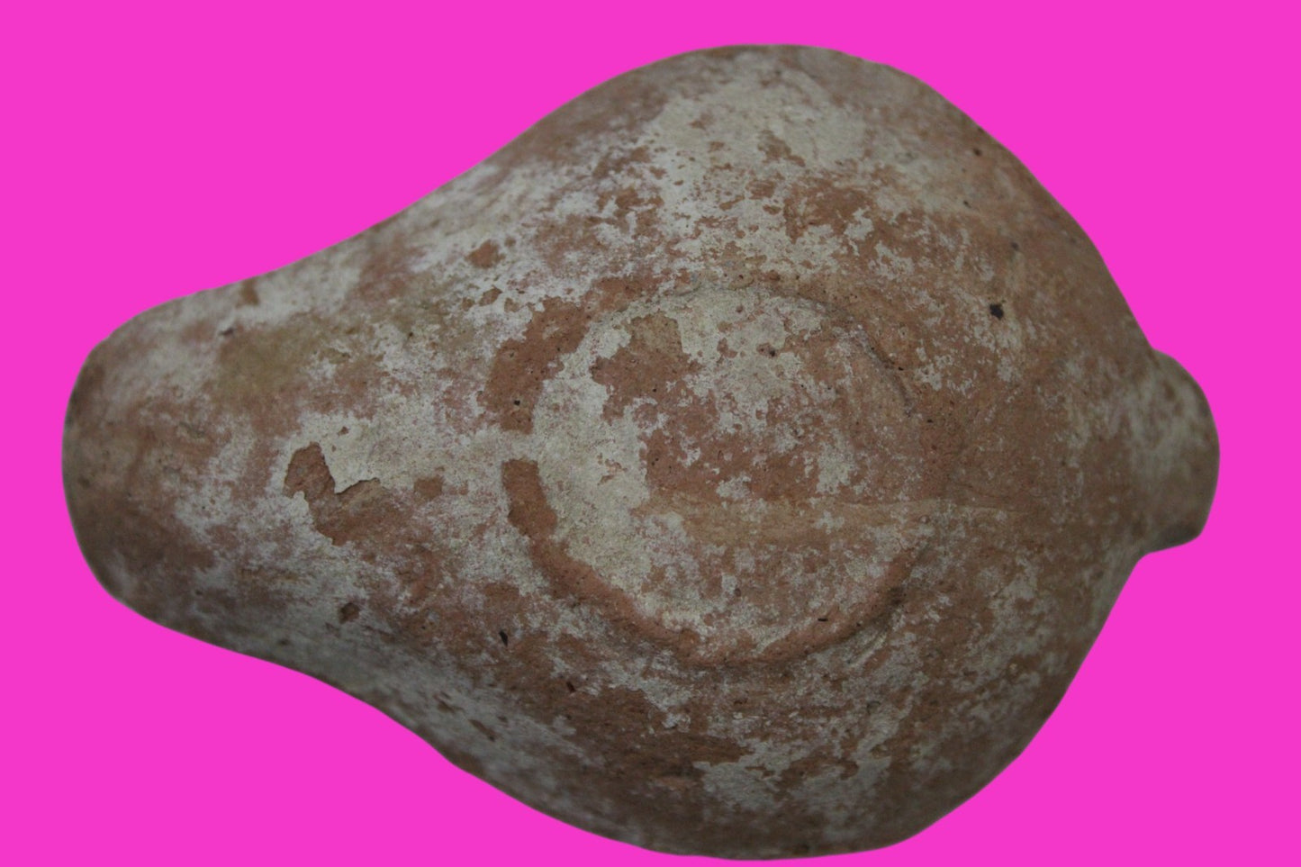 Holy Land Oil Lamp Ancient Artifact Time of the Christians 313-636 AD COA 195