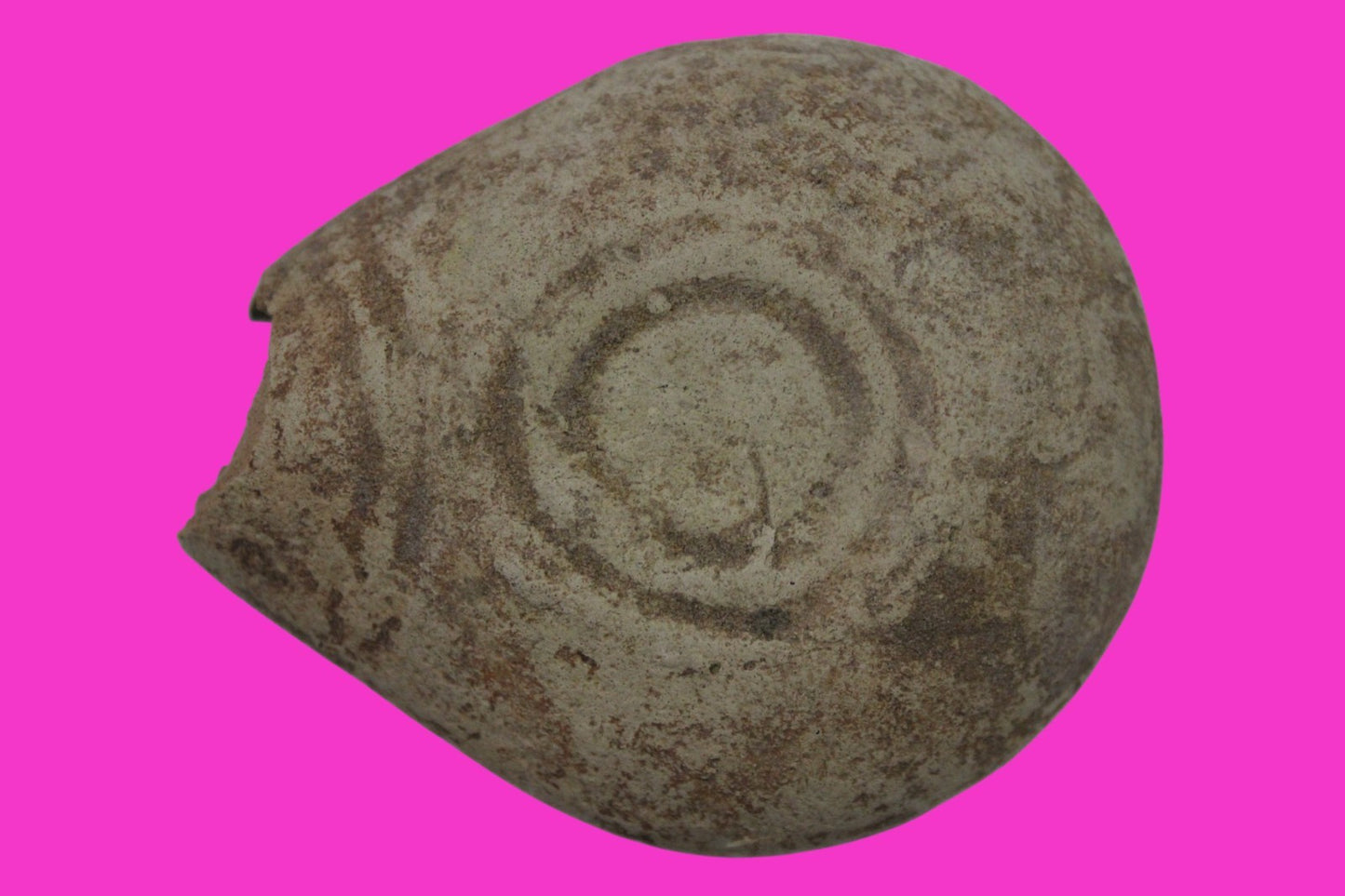 Holy Land Oil Lamp Ancient Artifact Time of Jesus & Apostles 63BC-323AD COA 143