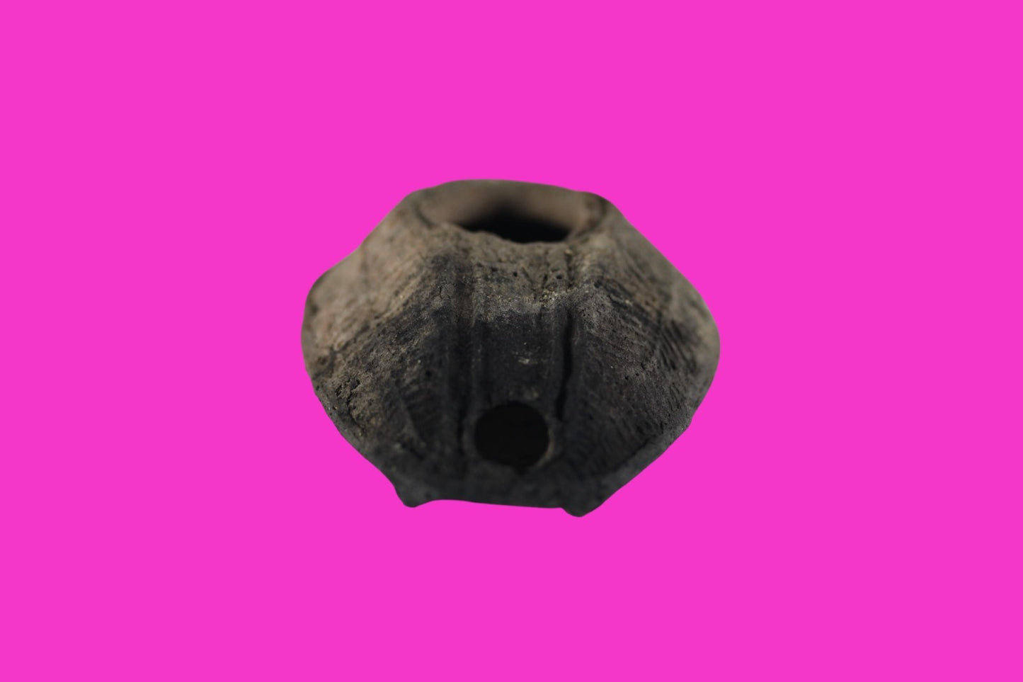 Time of the Christians Oil Lamp Ancient Holy Land Artifact 313-636 AD COA 08