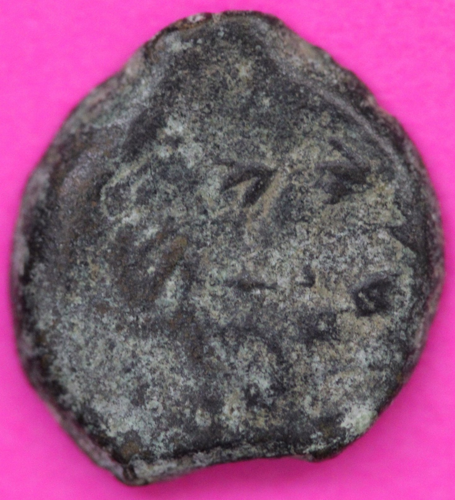Widows Mite Coin Holy Land Artifact Frameable Display Card Jesus Christ COA B532