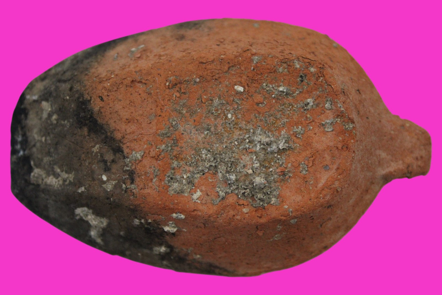 Holy Land Oil Lamp Ancient Artifact Time of the Christians 313-636 AD COA 48
