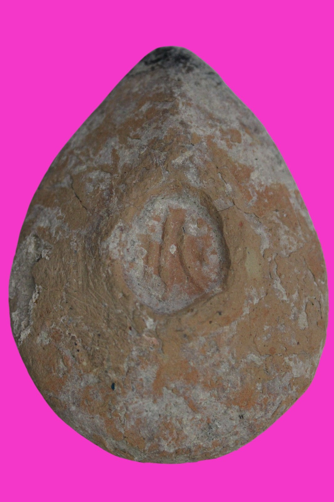 Large Holy Land Oil Lamp Ancient Artifact Time of Christians 313-636 AD COA 199