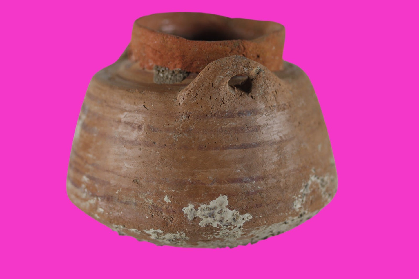 Time of Alexander the Great Holy Land Artifact Ancient Jar 332 BC-63 AD COA 96