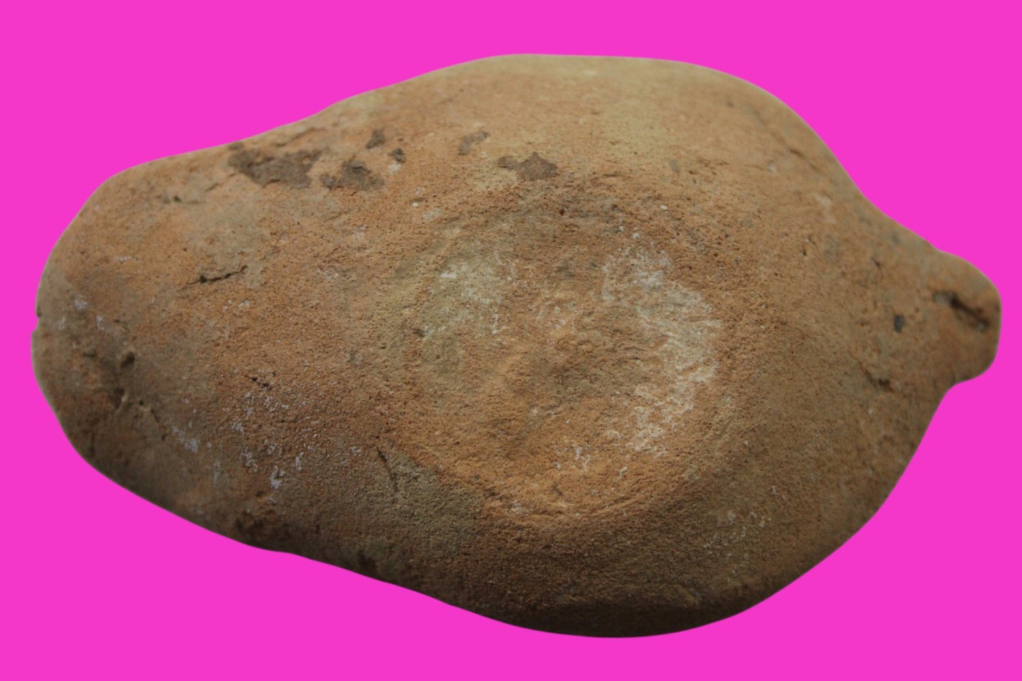 Ancient Holy Land Oil Lamp Artifact From Jesus Christ Home Land 100-500AD COA 66