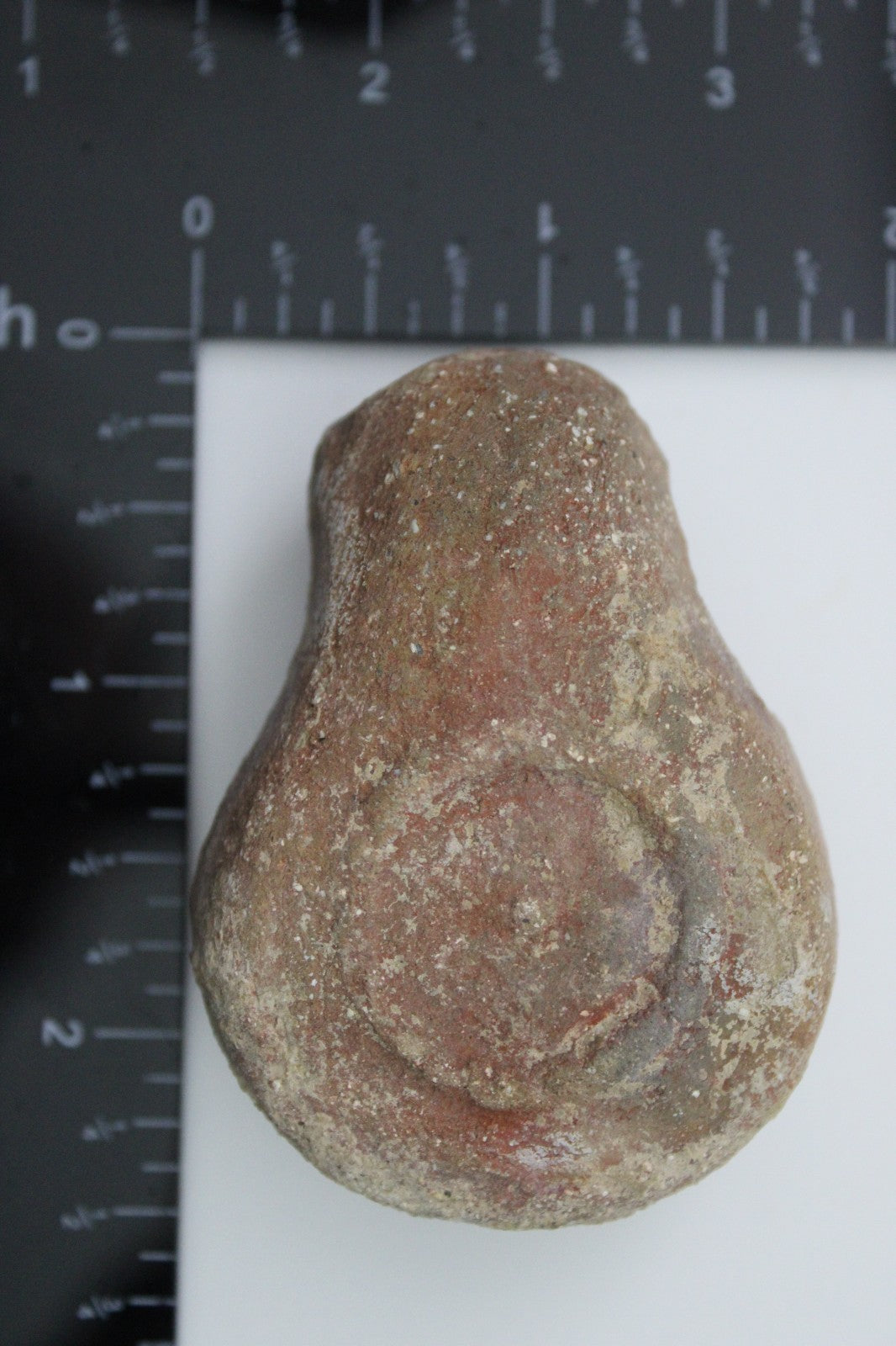 Holy Land Mini Oil Lamp Ancient Artifact Time of the Apostles 63BC-323AD COA 169
