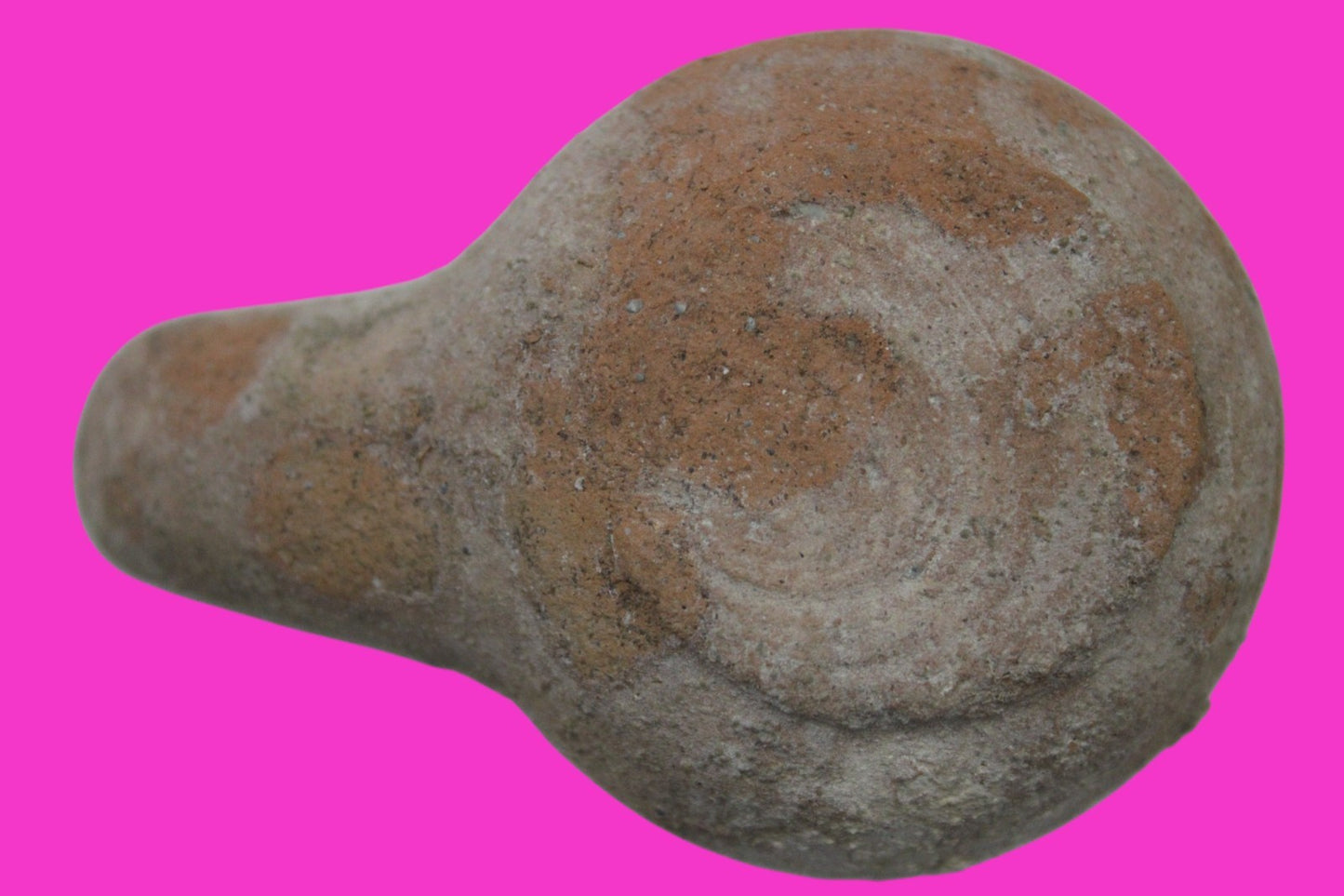 Holy Land Oil Lamp Ancient Artifact Alexander the Great Era 332-63 BC COA 231