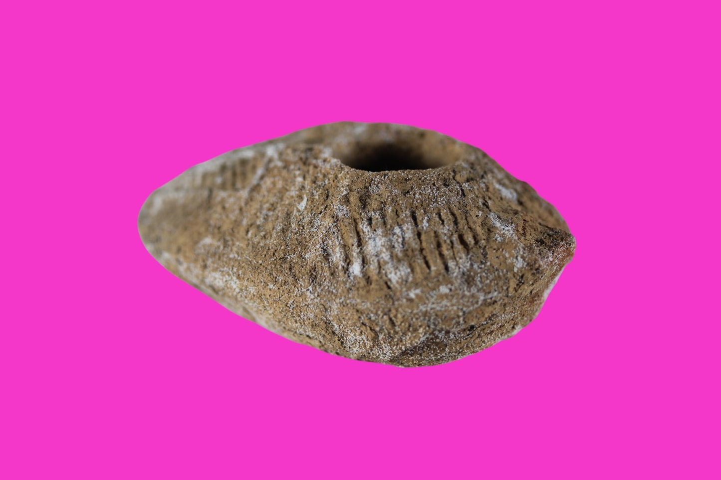 Time of the Christians Oil Lamp Ancient Holy Land Artifact 313-636 AD COA 23