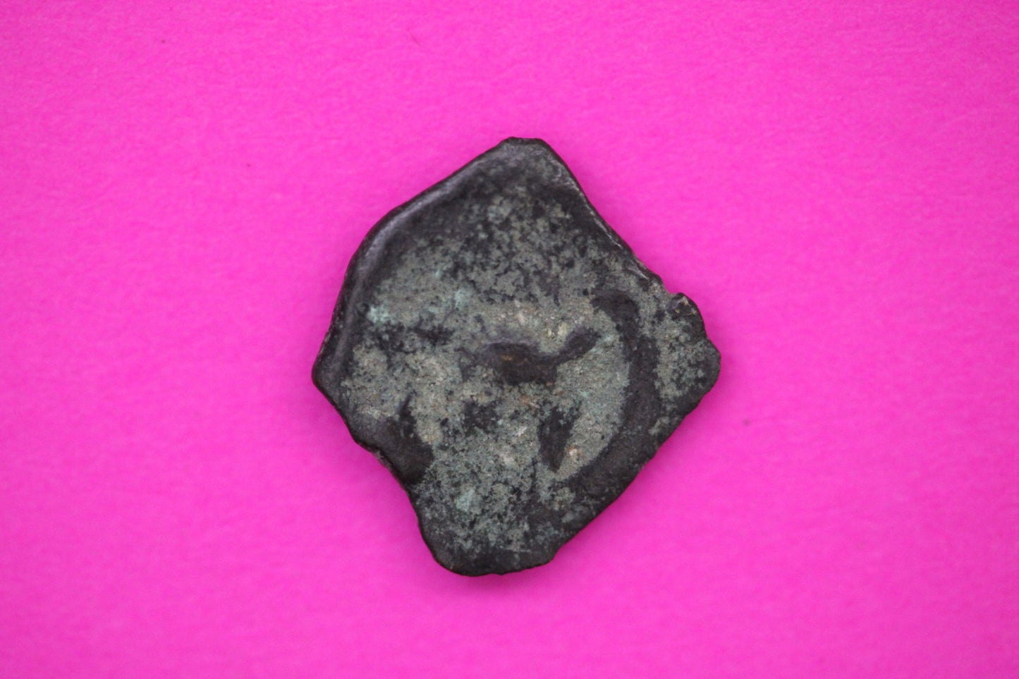 Widows Mite Coin Holy Land Artifact Frameable Display Card Jesus Christ COA C541