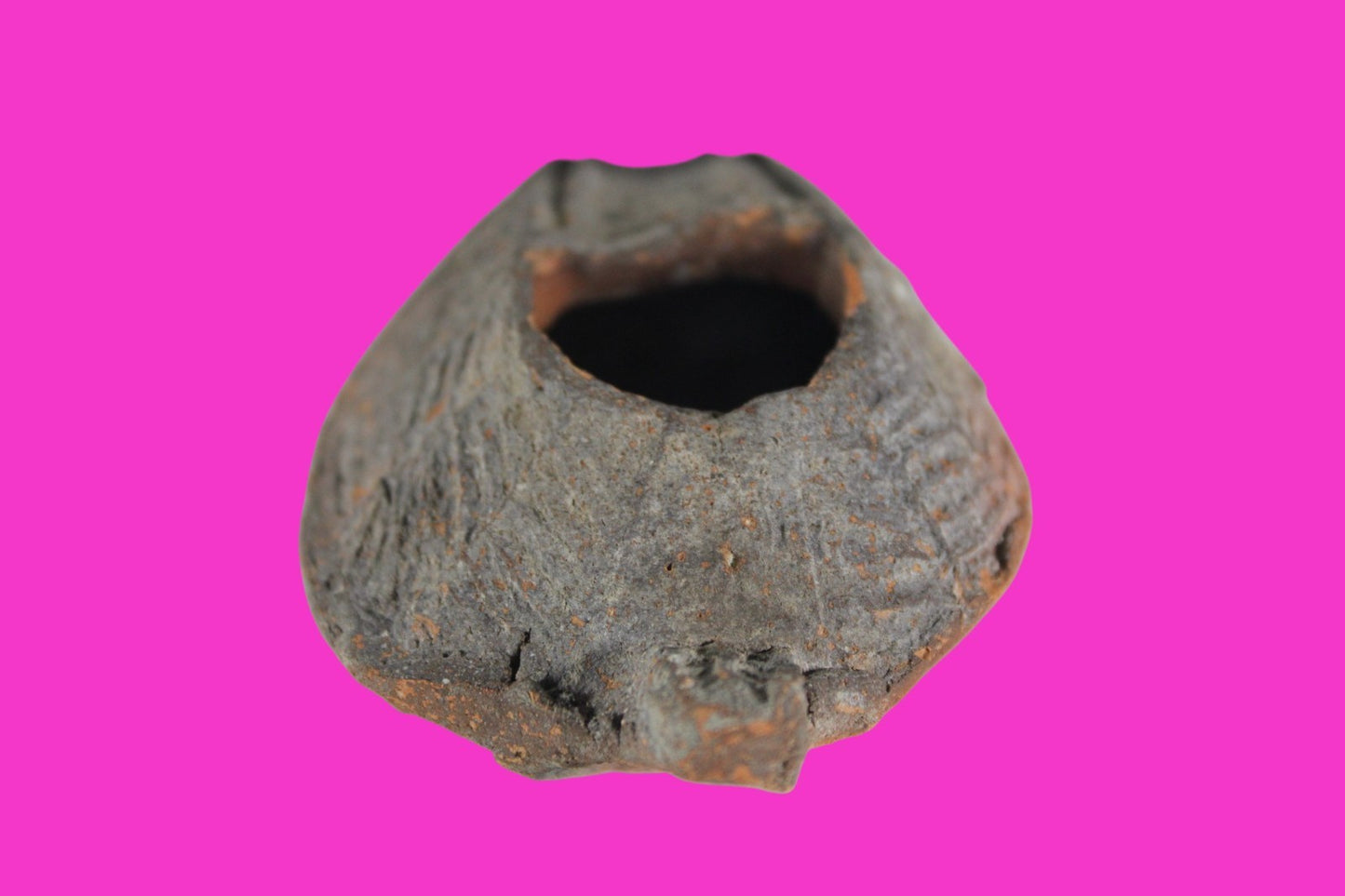 Oil Lamp Holy Land Ancient Artifact Jesus Christ Home Israel 300-600 AD COA 109