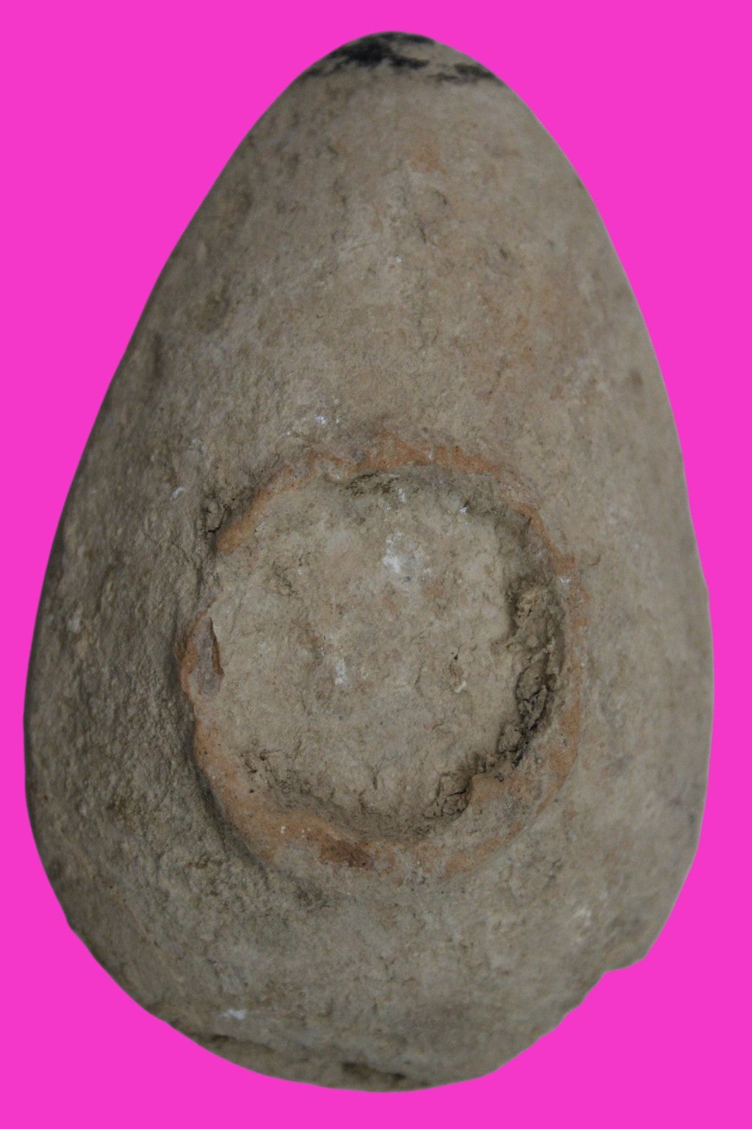 Holy Land Oil Lamp Ancient Artifact Time of the Christians 313-636 AD COA 211