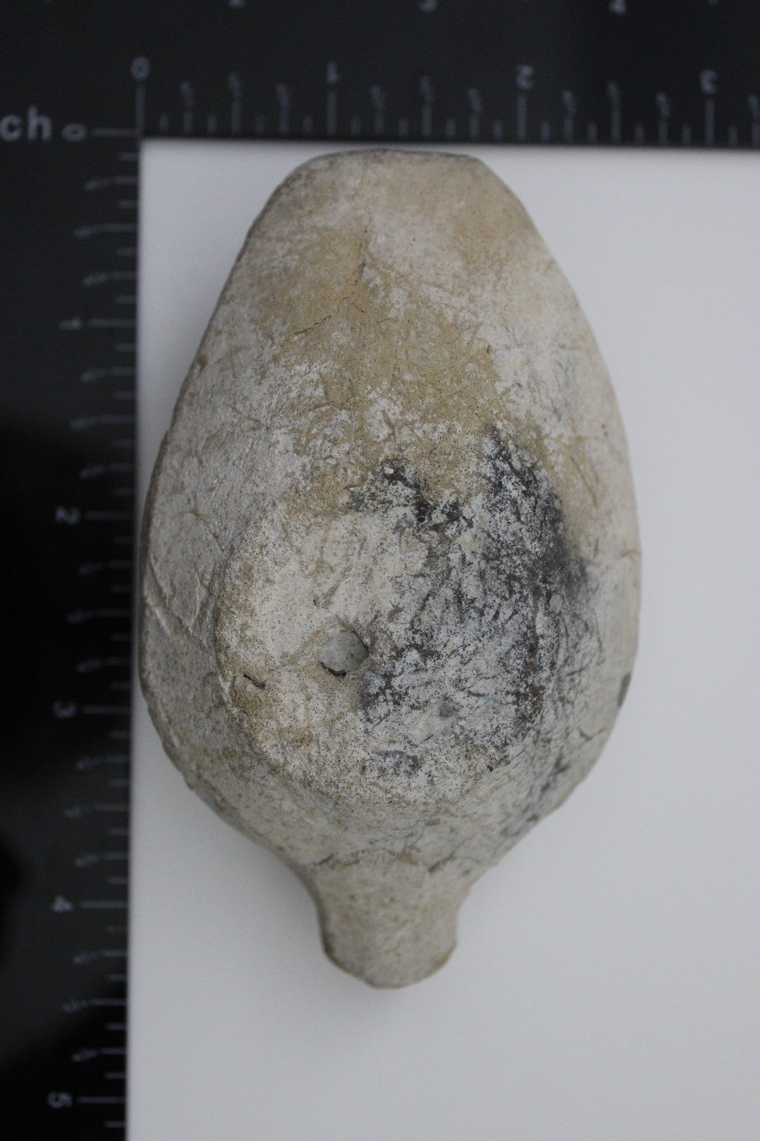 Holy Land Oil Lamp Ancient Artifact Time of the Christians 313-636 AD COA 206