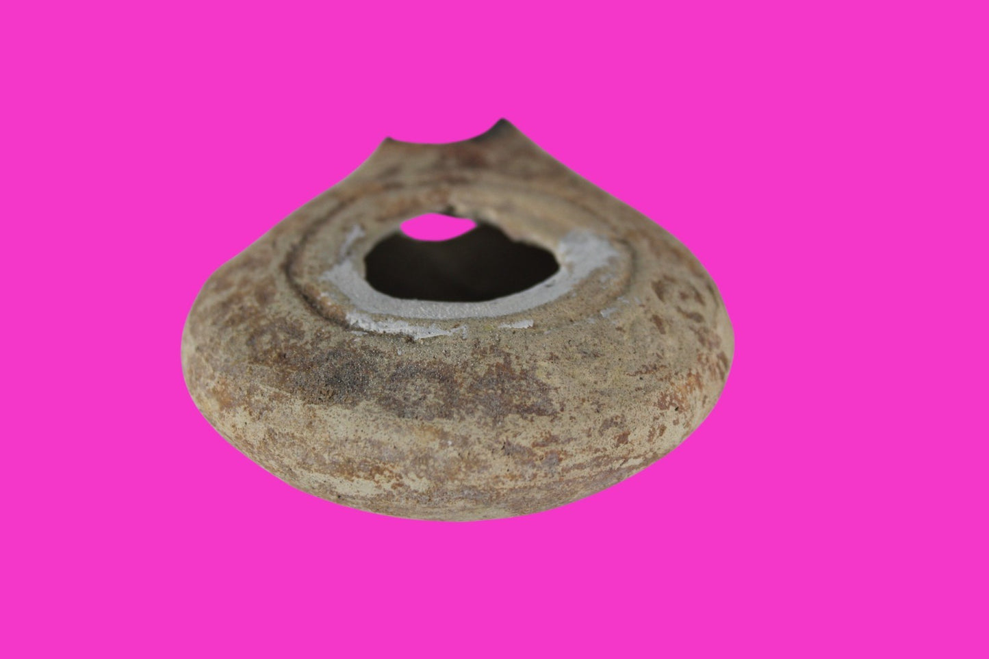 Holy Land Oil Lamp Ancient Artifact Time of Jesus & Apostles 63BC-323AD COA 143