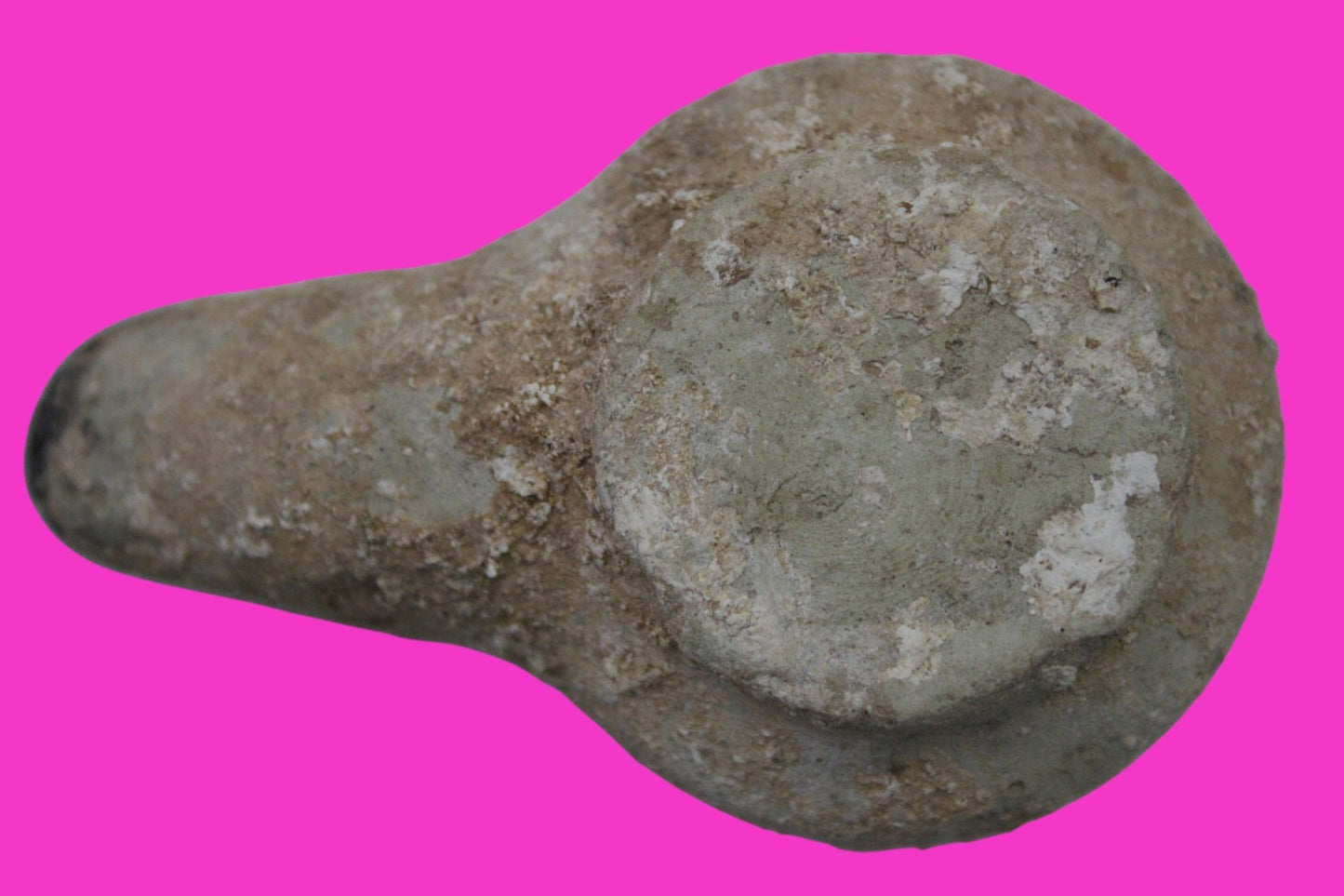 Holy Land Oil Lamp Ancient Artifact Alexander the Great Era 332-63 BC COA 234